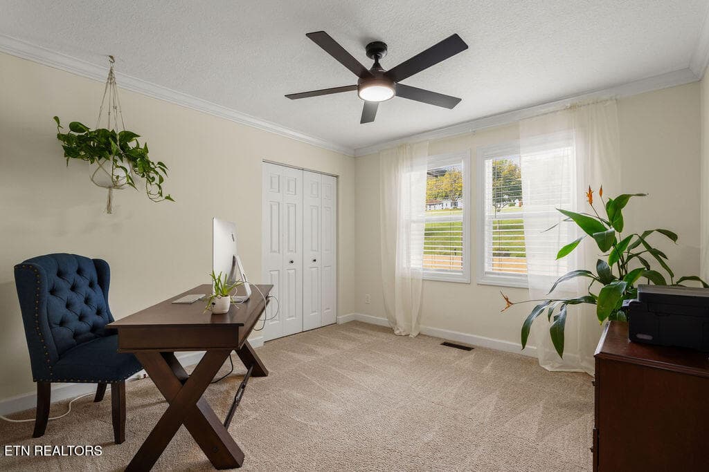 Guest Bed 1 - 205 Channel Drive, Loudon, TN 37774, Loudon