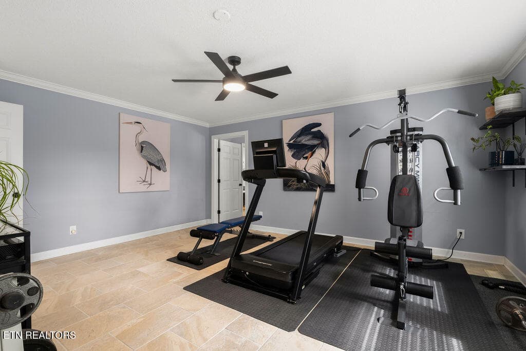 Flex Room - 205 Channel Drive, Loudon, TN 37774, Loudon