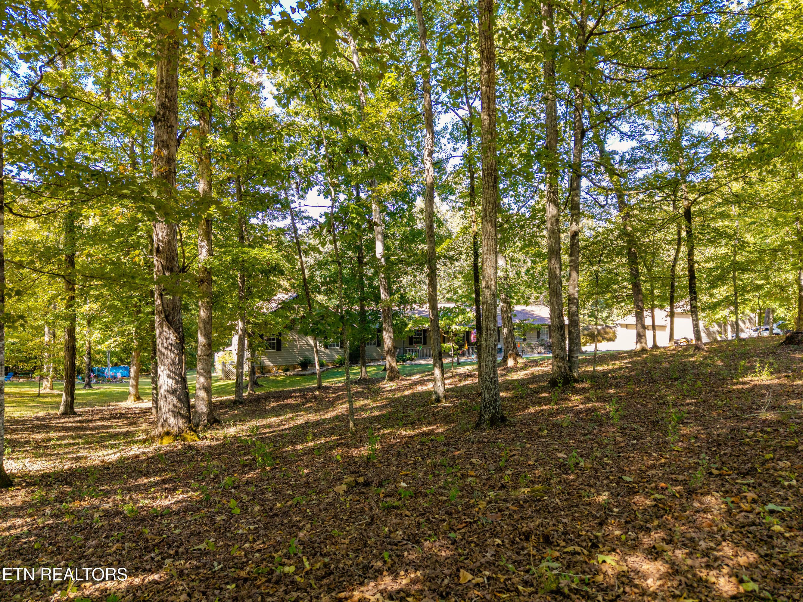 Wooded lot - 1845 Tree Tops Lane, Seymour, TN 37865, Seymour