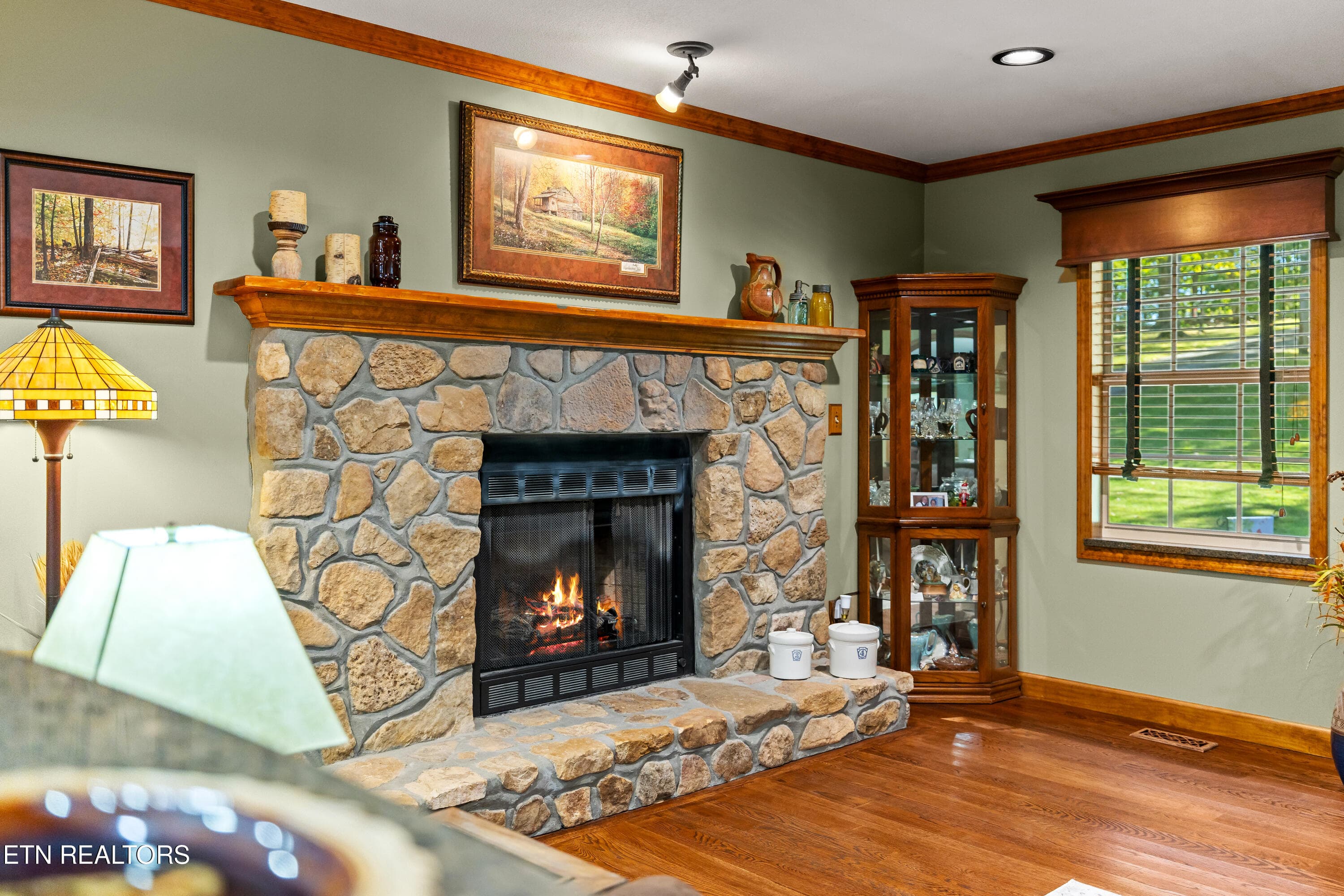 Gas Fireplace - 1845 Tree Tops Lane, Seymour, TN 37865, Seymour