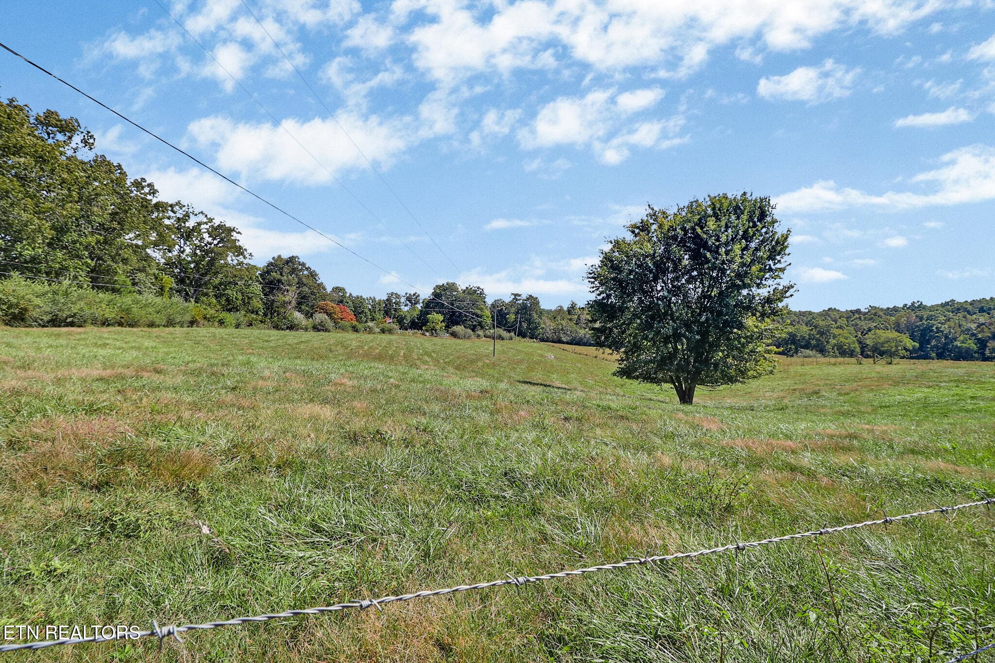Land - 580 Eastland Cemetery Rd, Sparta, TN 38583, Sparta
