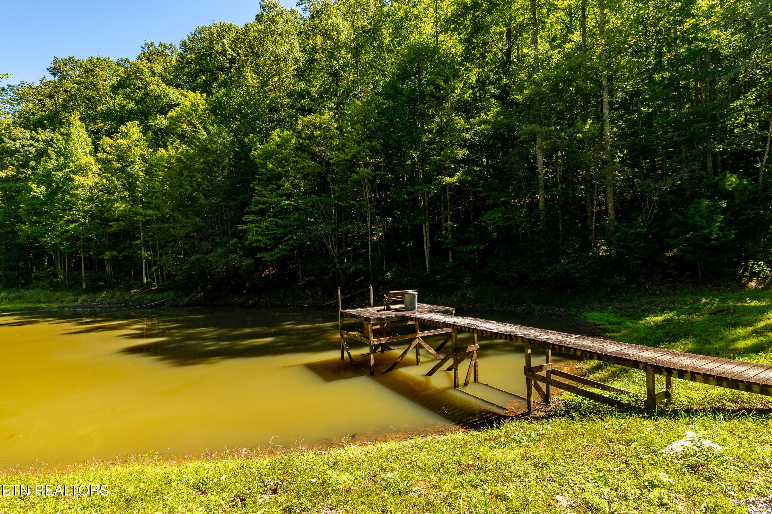 421SmithfieldRd-65 - 421 Smithfield Rd, Tellico Plains, TN 37385, Tellico Plains