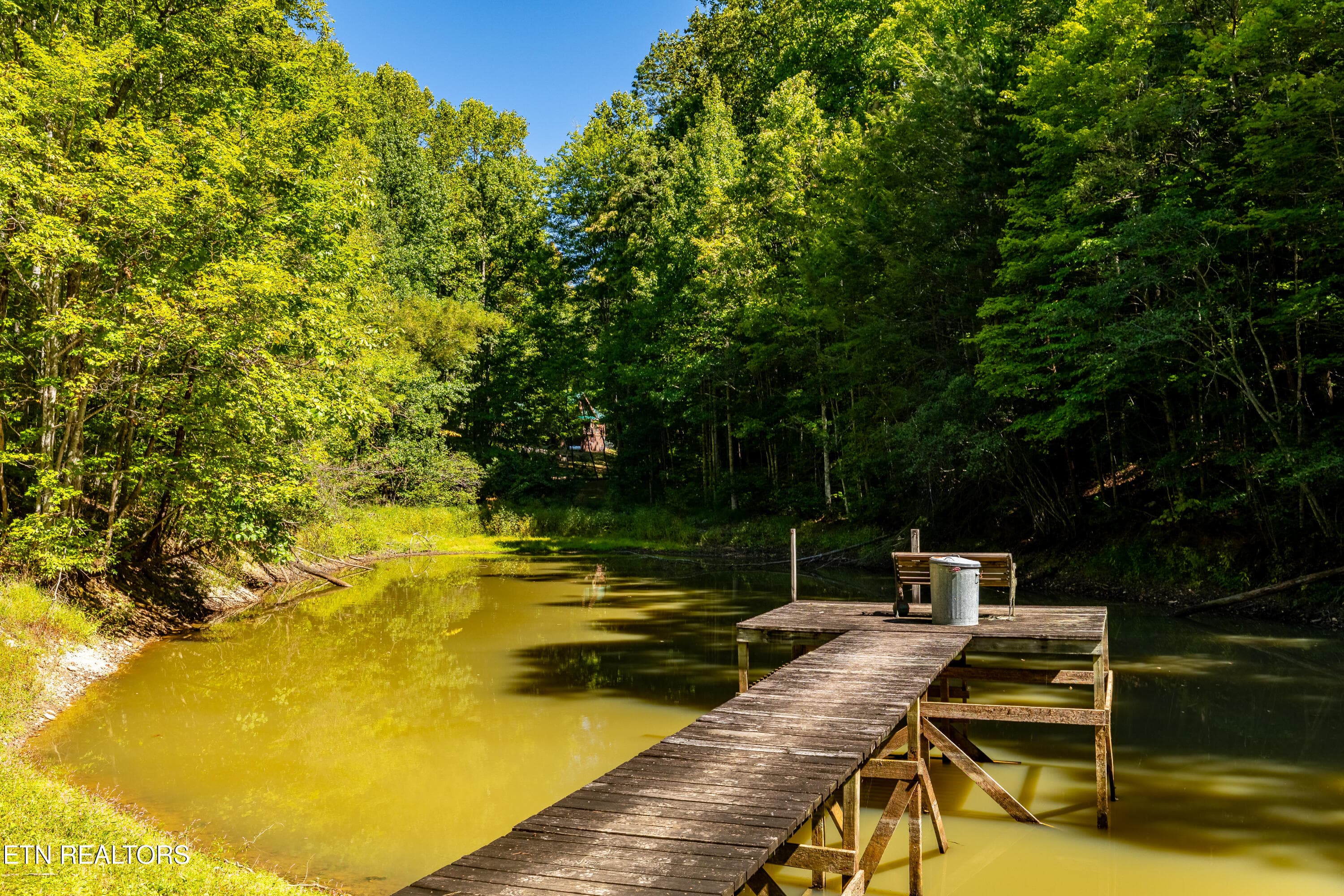 421SmithfieldRd-62 - 421 Smithfield Rd, Tellico Plains, TN 37385, Tellico Plains