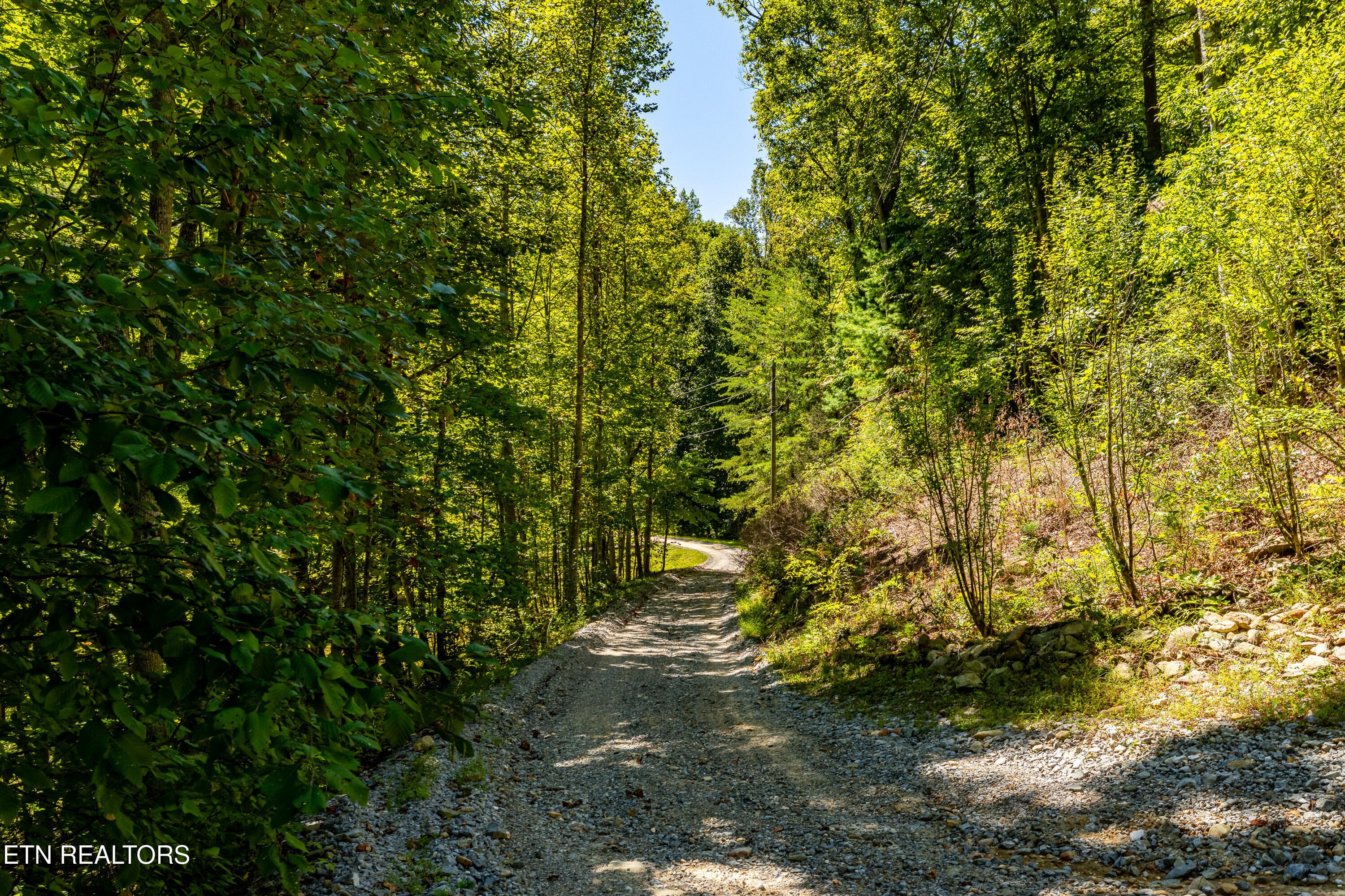 421SmithfieldRd-54 - 421 Smithfield Rd, Tellico Plains, TN 37385, Tellico Plains