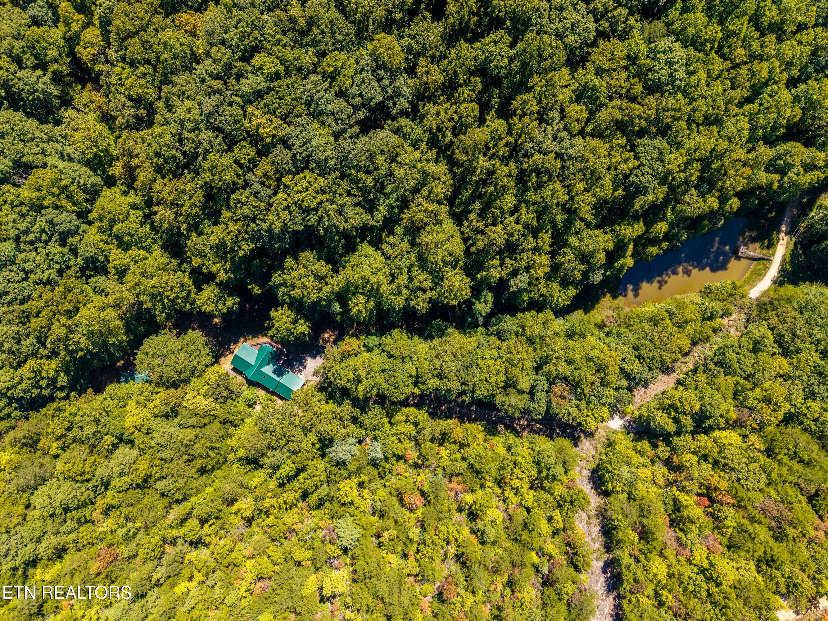 421SmithfieldRd-60 - 421 Smithfield Rd, Tellico Plains, TN 37385, Tellico Plains