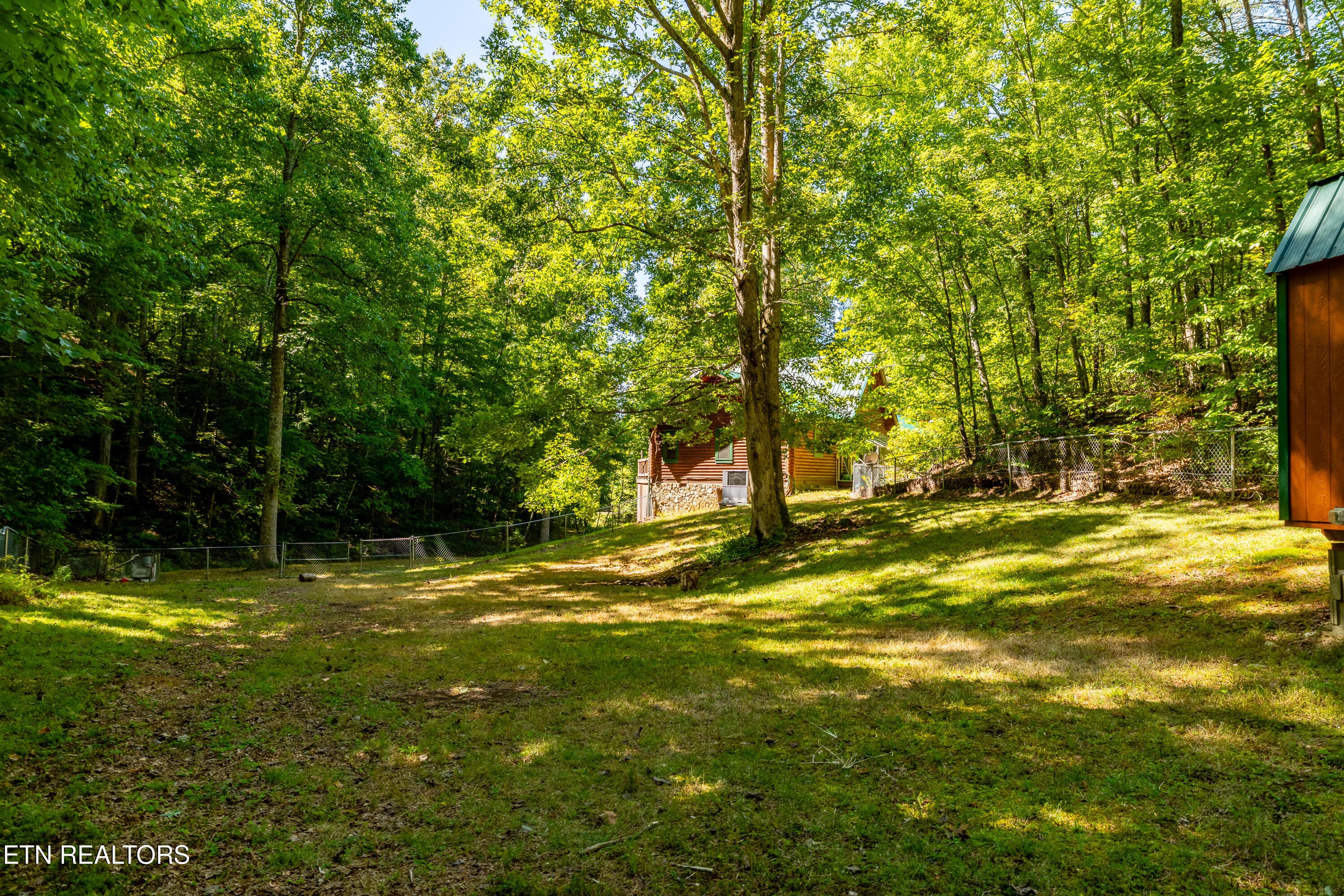 421SmithfieldRd-39 - 421 Smithfield Rd, Tellico Plains, TN 37385, Tellico Plains