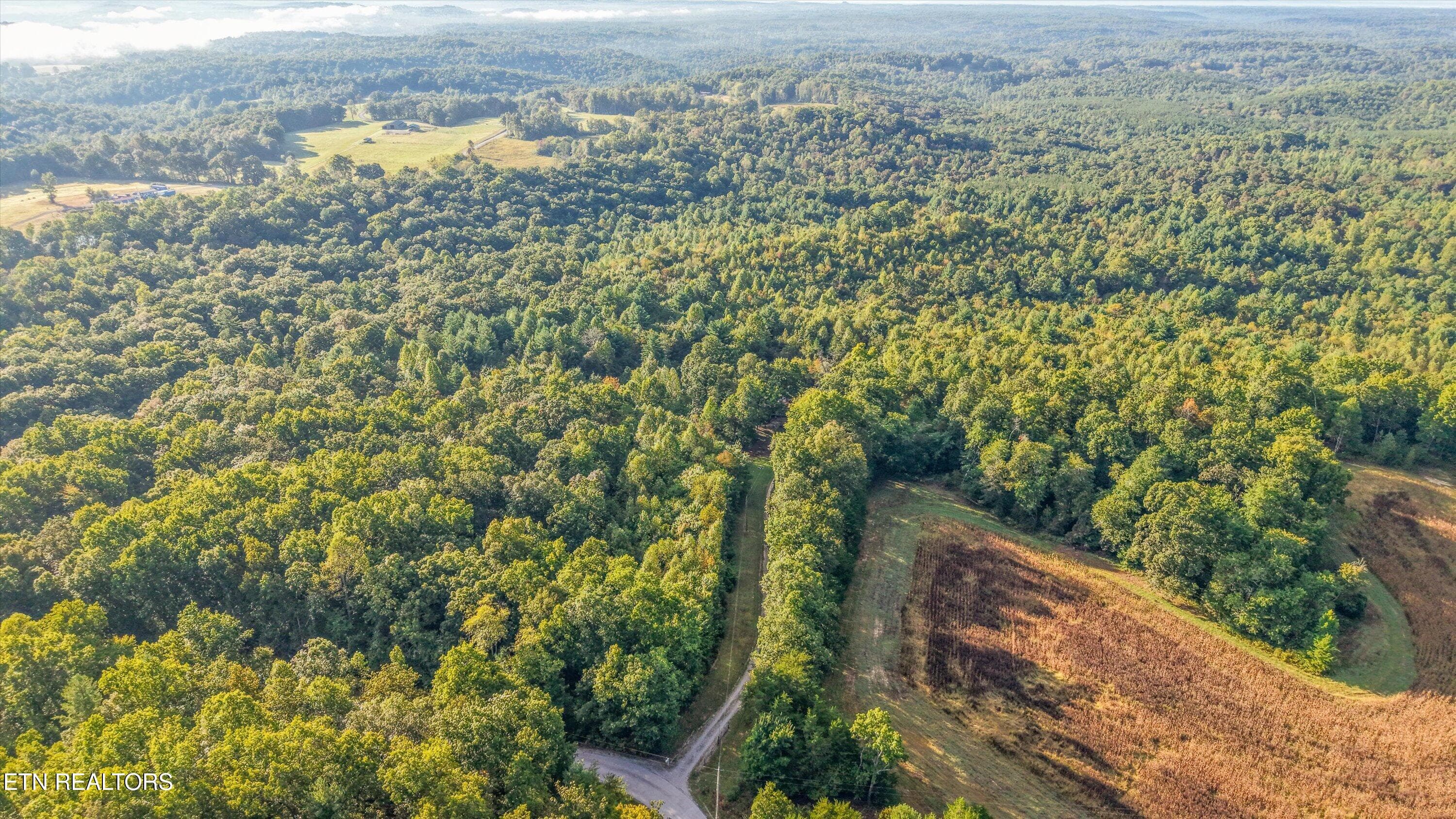 01-569 Coon Creek Rd01 - 569 Coon Creek Rd, Sunbright, TN 37872, Sunbright