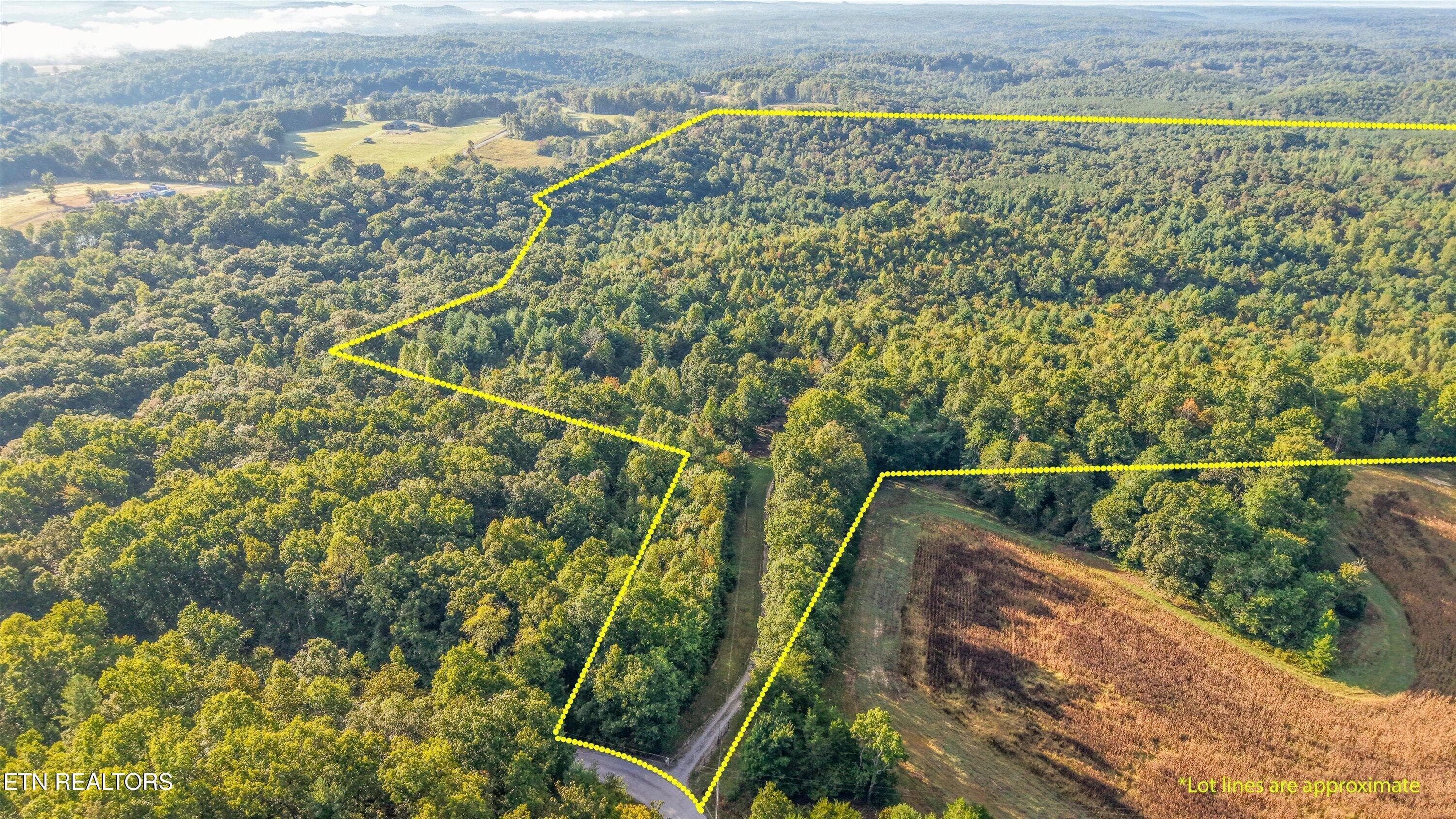 02-569 Coon Creek Rd01 - 569 Coon Creek Rd, Sunbright, TN 37872, Sunbright