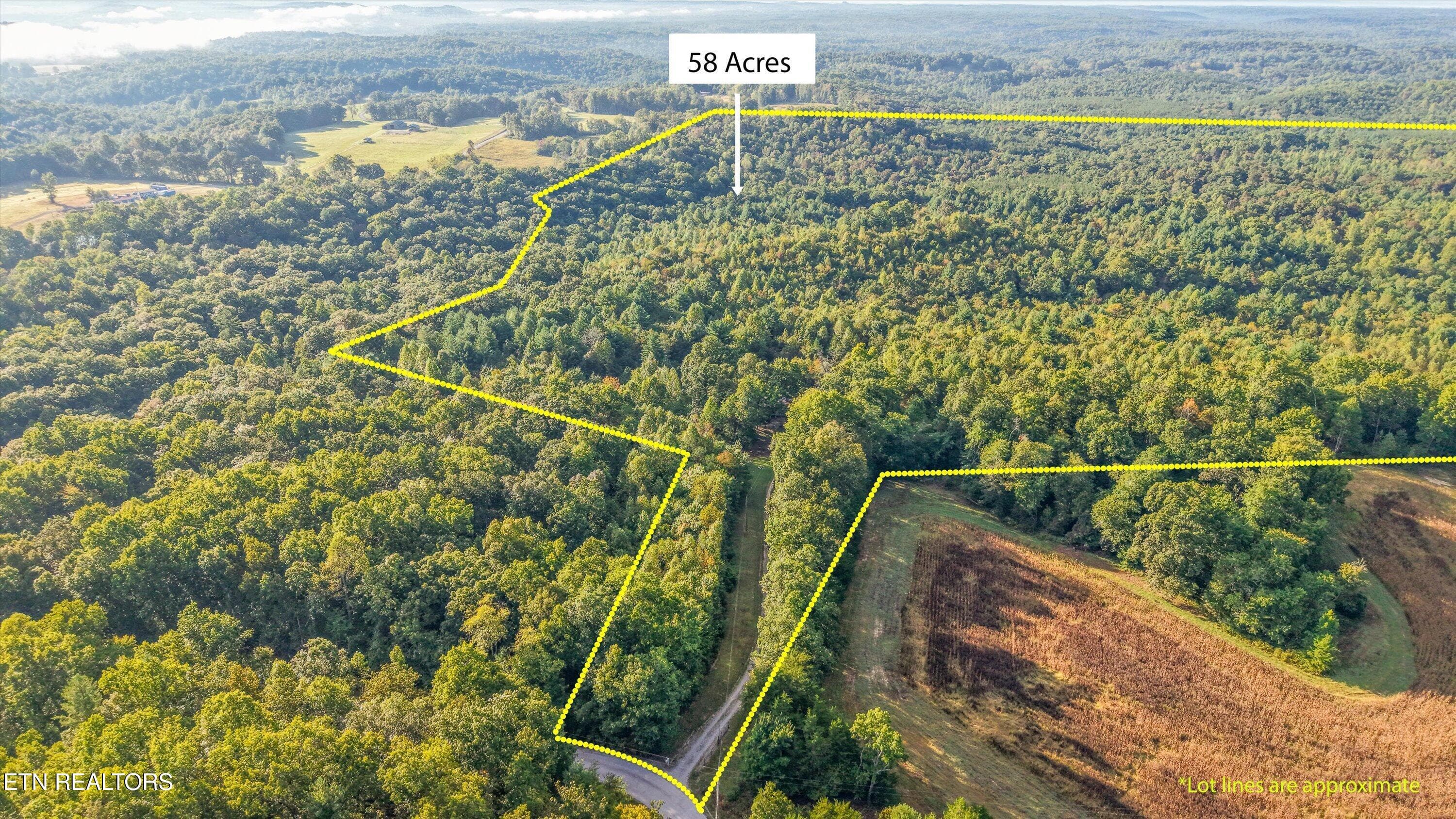 569 Coon Creek Rd, Sunbright, TN 37872