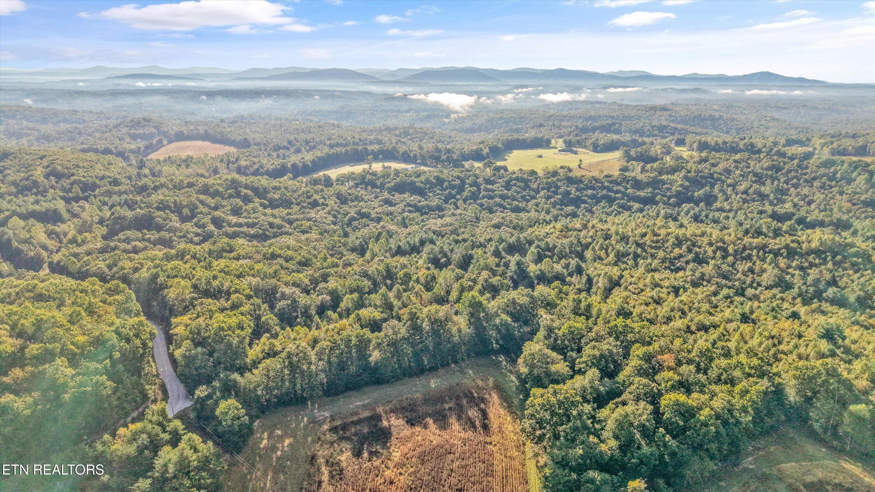 04-569 Coon Creek Rd05 - 569 Coon Creek Rd, Sunbright, TN 37872, Sunbright