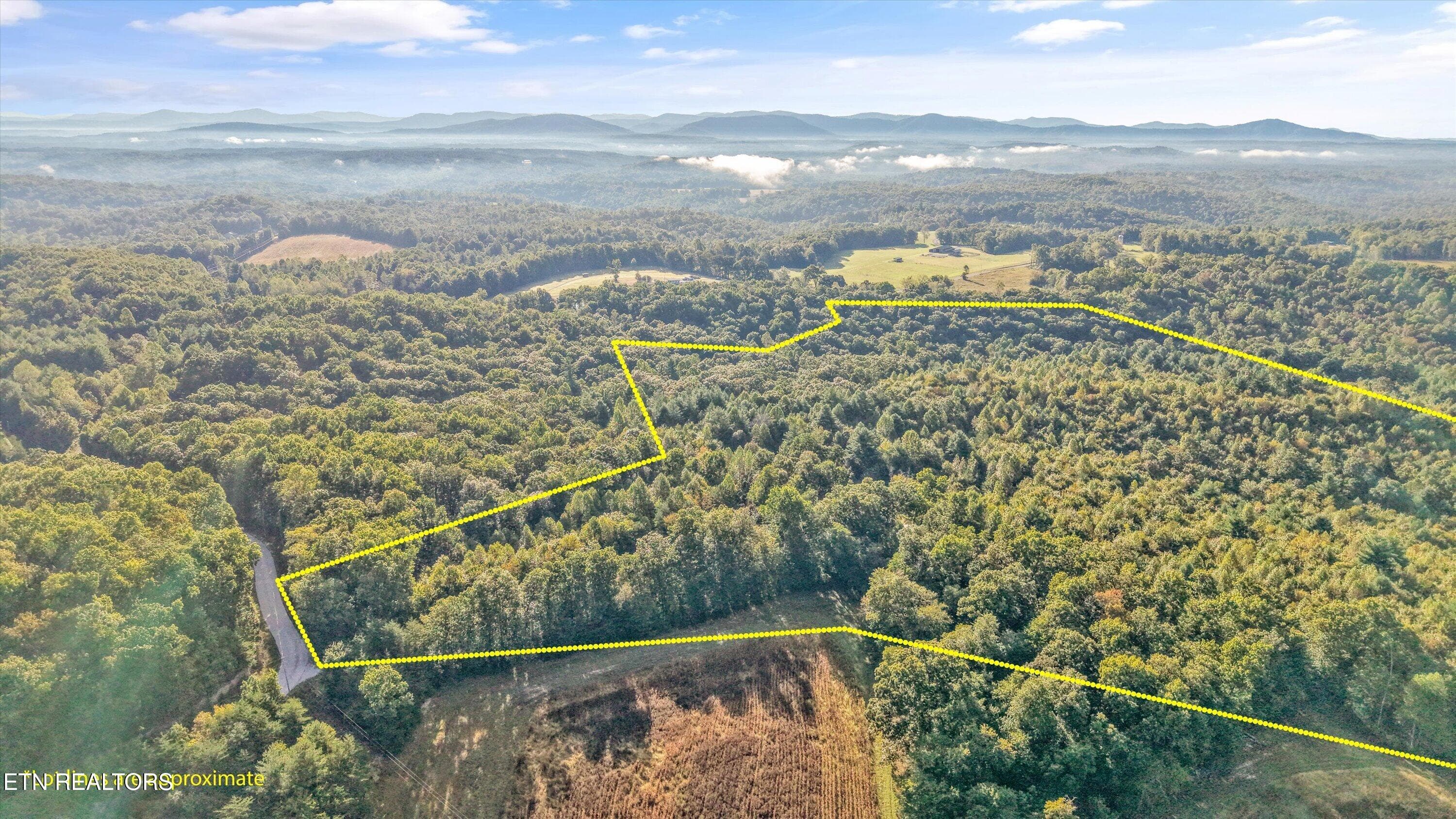 05-569 Coon Creek Rd05 - 569 Coon Creek Rd, Sunbright, TN 37872, Sunbright