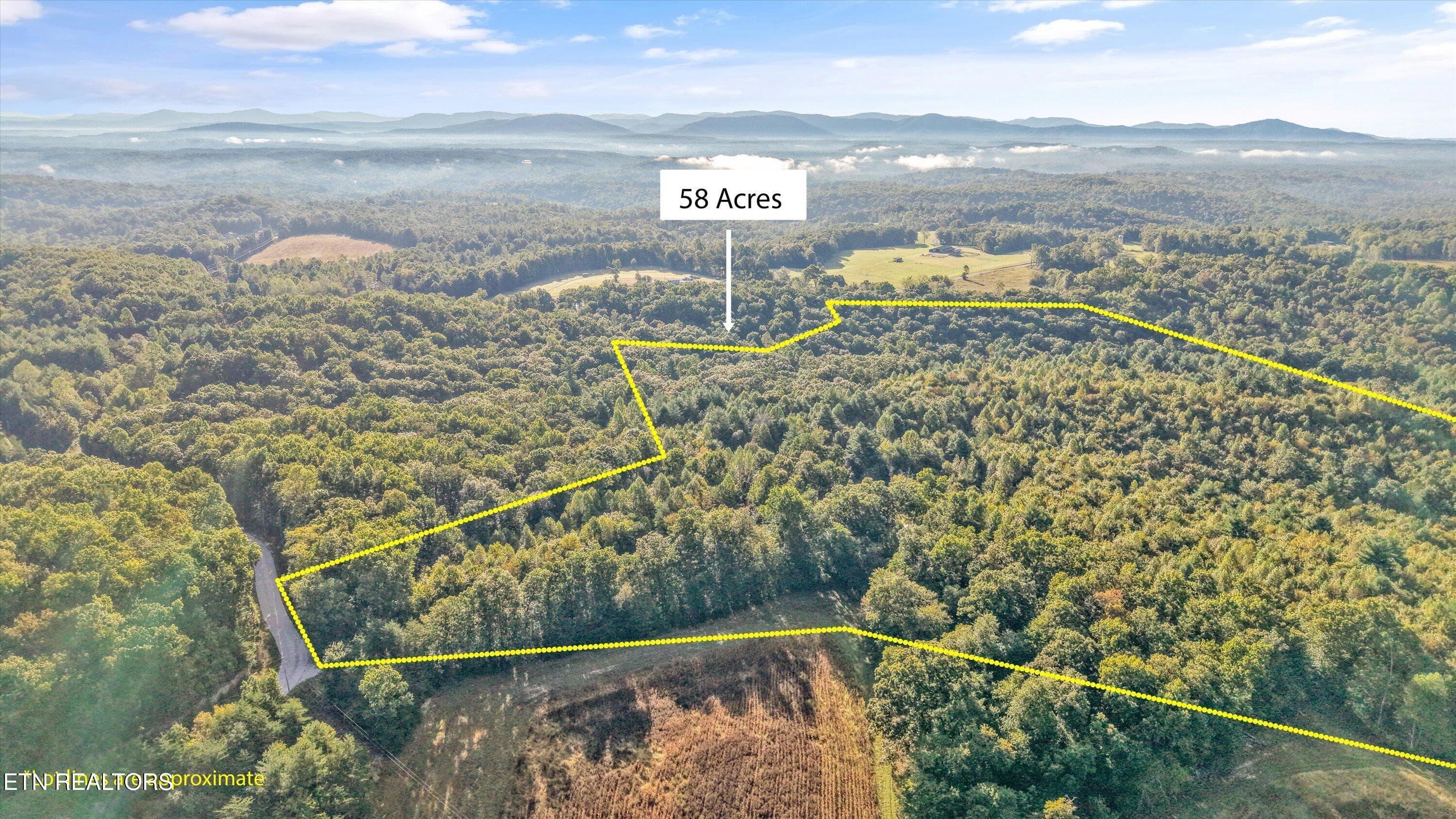 06-569 Coon Creek Rd05 - 569 Coon Creek Rd, Sunbright, TN 37872, Sunbright