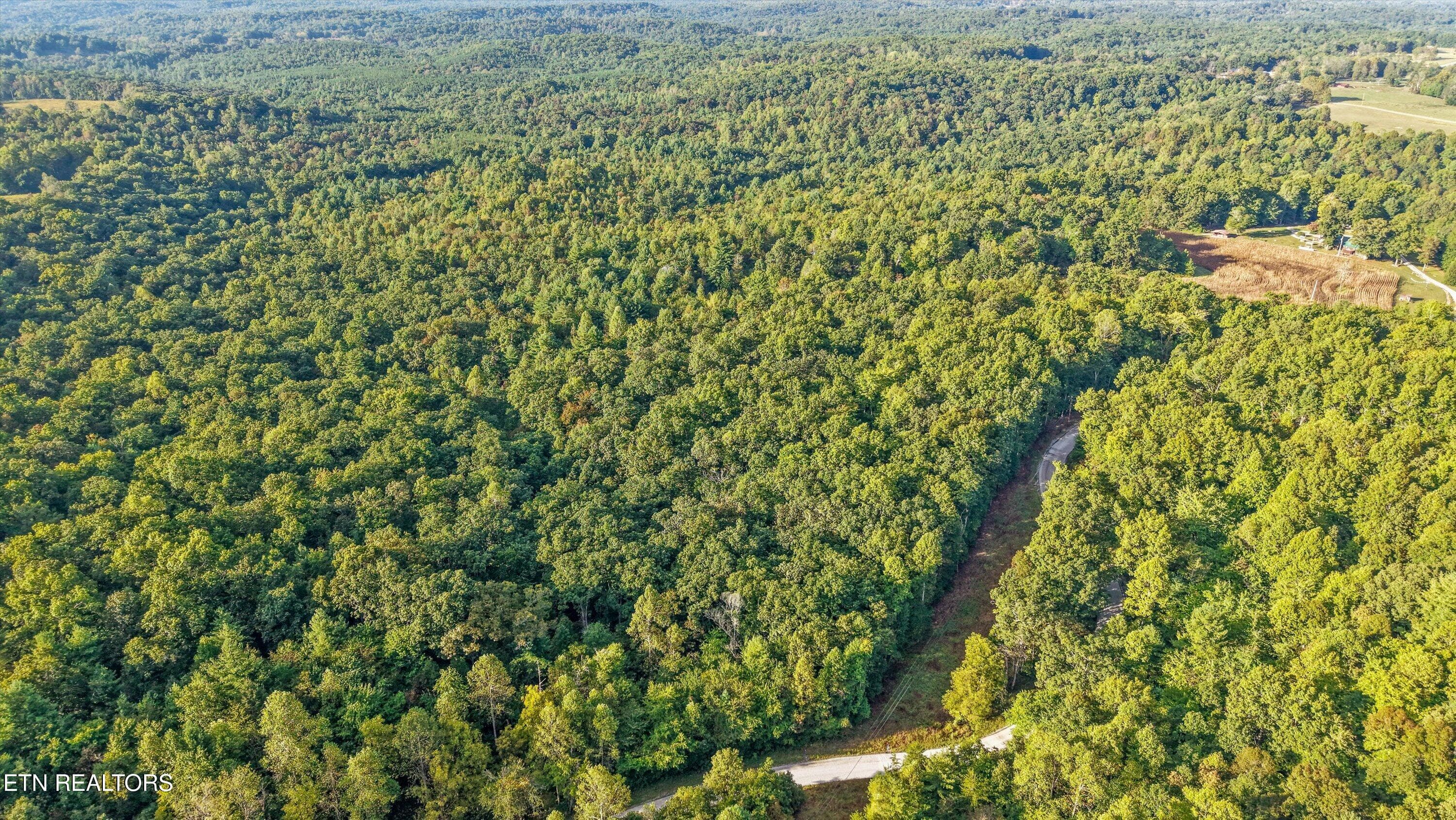 07-569 Coon Creek Rd02 - 569 Coon Creek Rd, Sunbright, TN 37872, Sunbright