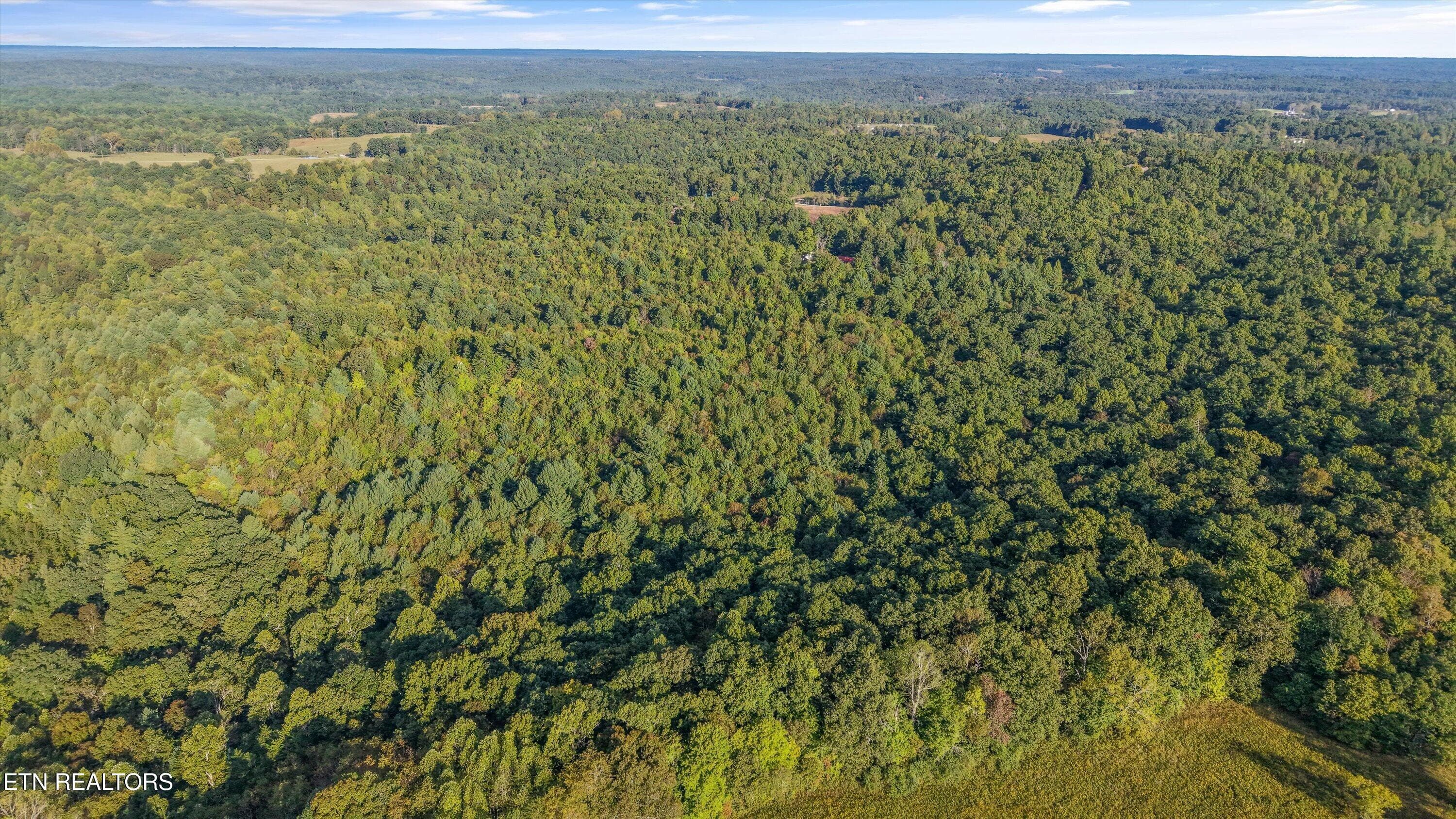 09-569 Coon Creek Rd03 - 569 Coon Creek Rd, Sunbright, TN 37872, Sunbright