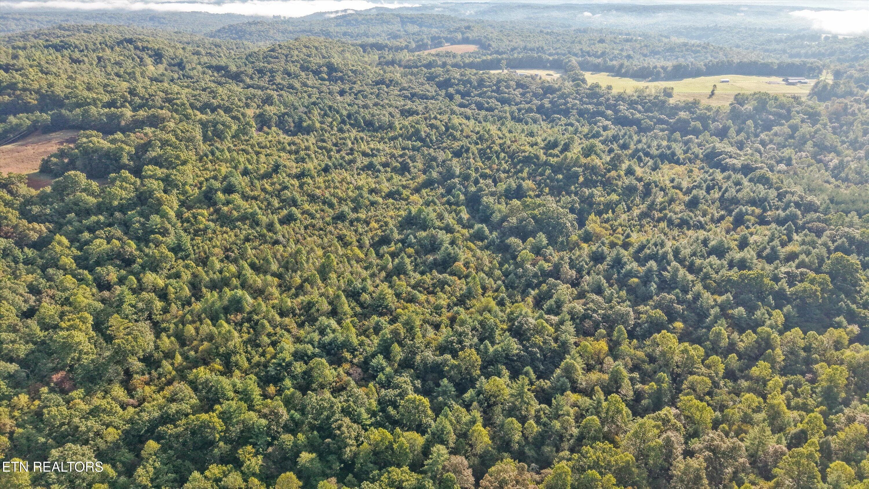 10-569 Coon Creek Rd04 - 569 Coon Creek Rd, Sunbright, TN 37872, Sunbright