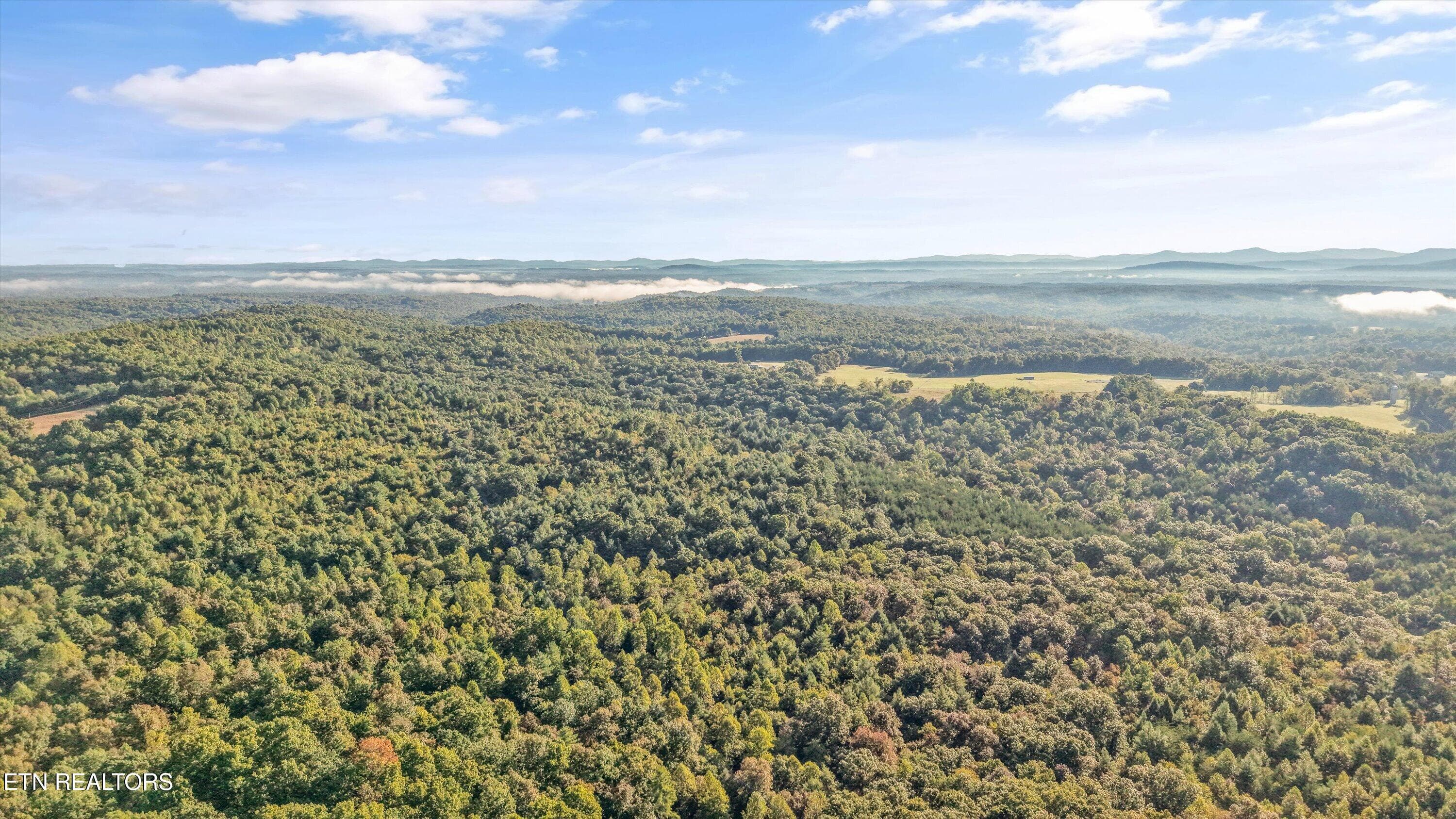 11-569 Coon Creek Rd06 - 569 Coon Creek Rd, Sunbright, TN 37872, Sunbright