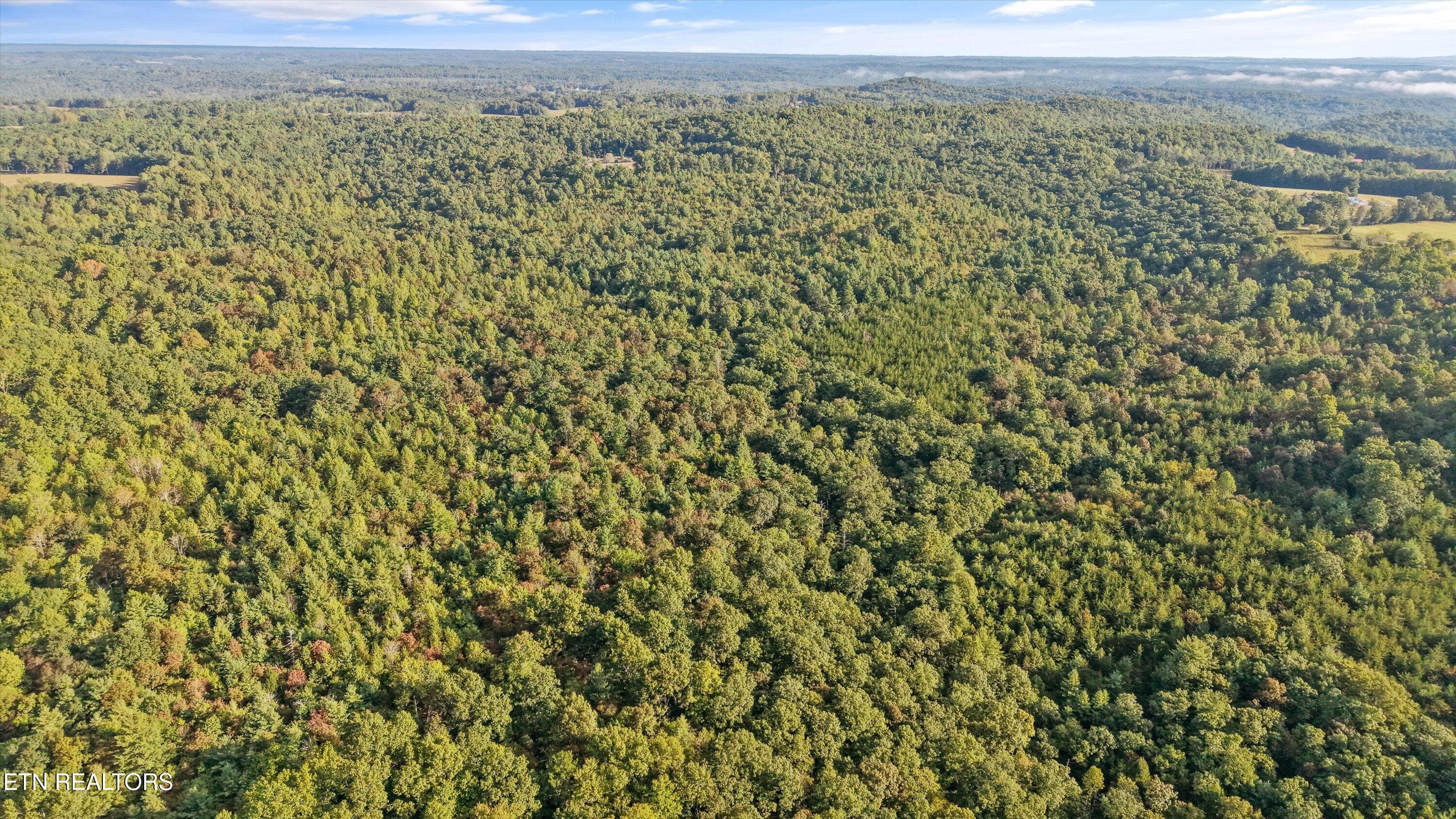 12-569 Coon Creek Rd07 - 569 Coon Creek Rd, Sunbright, TN 37872, Sunbright