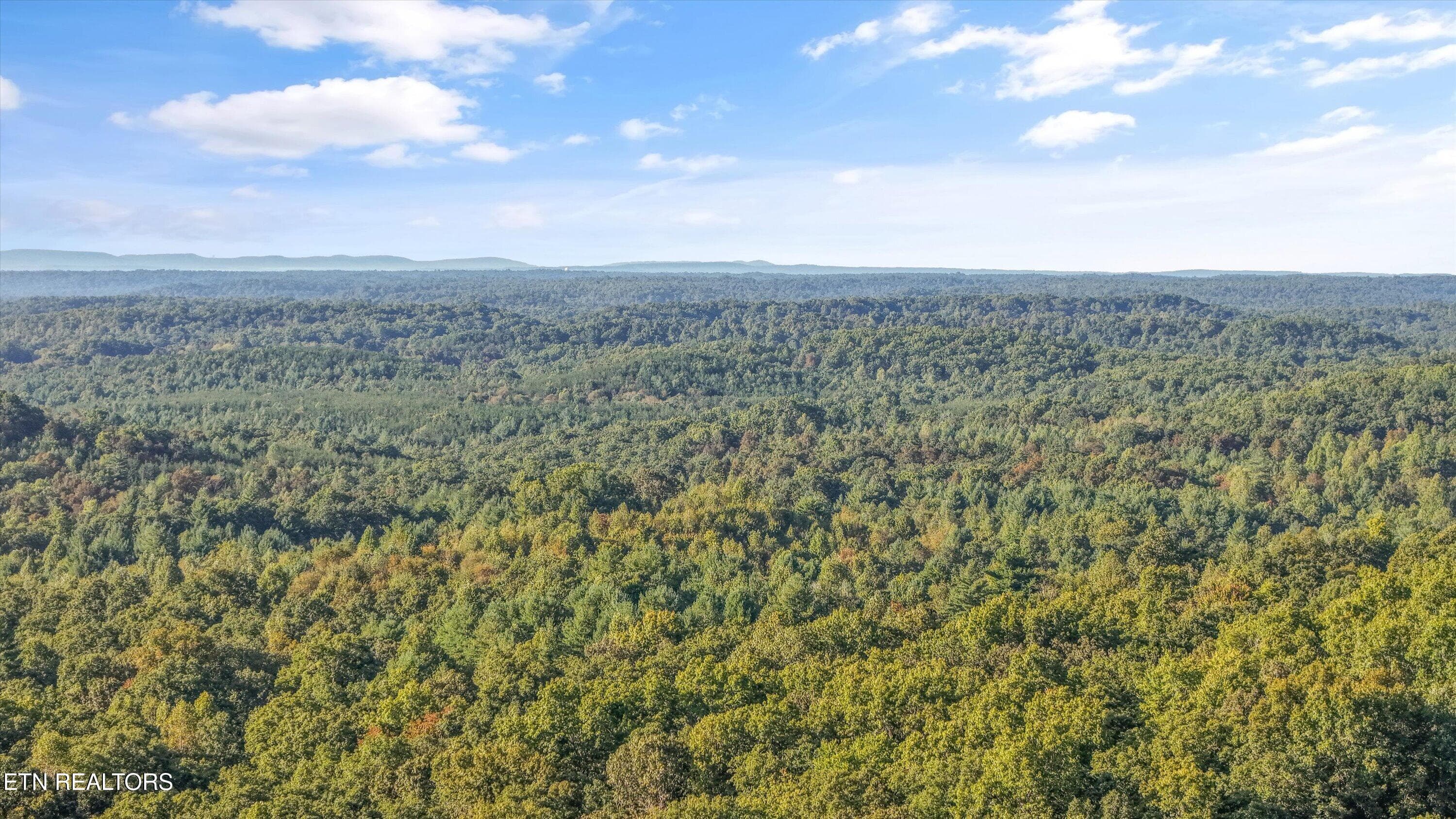 15-569 Coon Creek Rd10 - 569 Coon Creek Rd, Sunbright, TN 37872, Sunbright