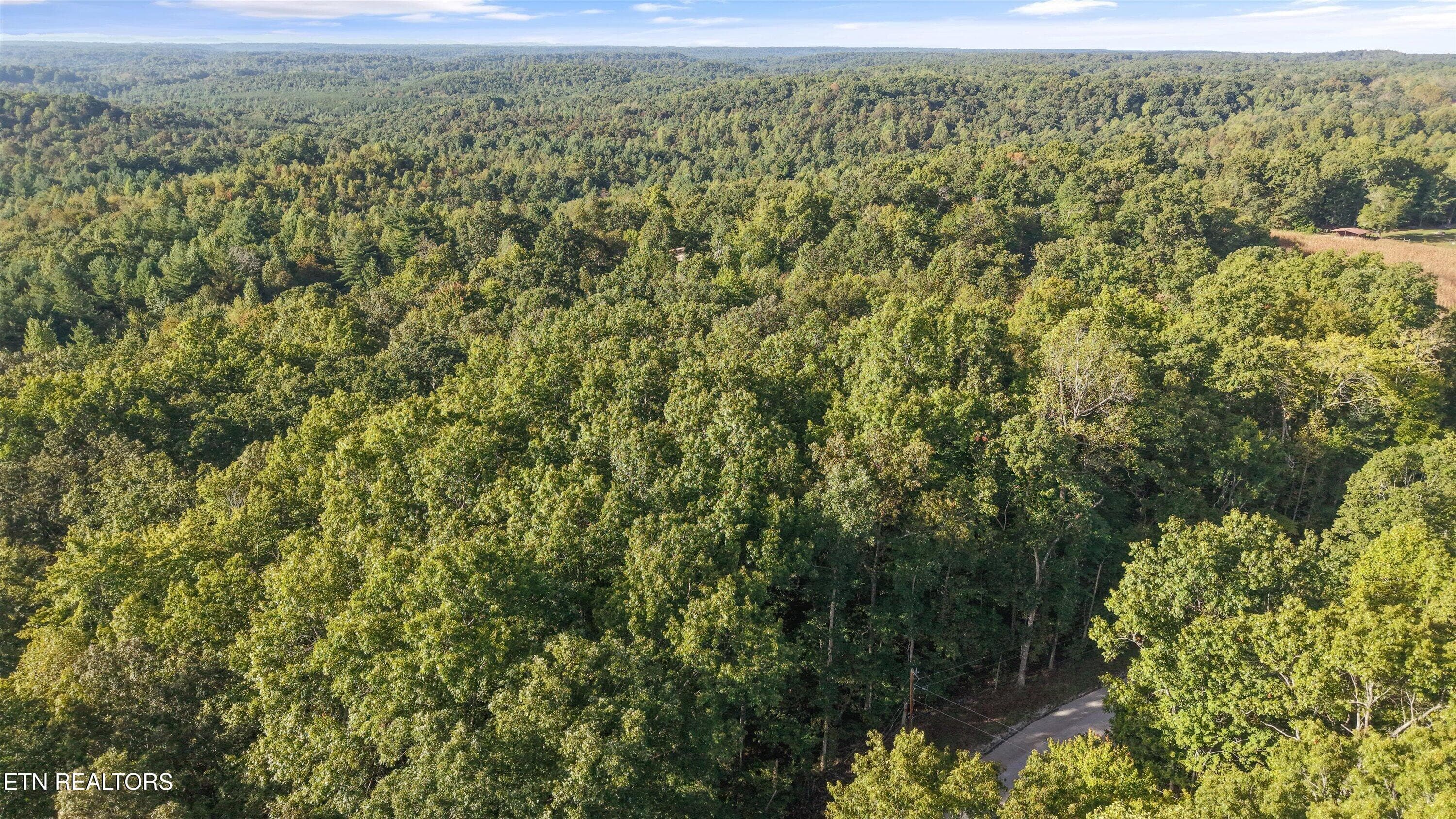 16-569 Coon Creek Rd20 - 569 Coon Creek Rd, Sunbright, TN 37872, Sunbright