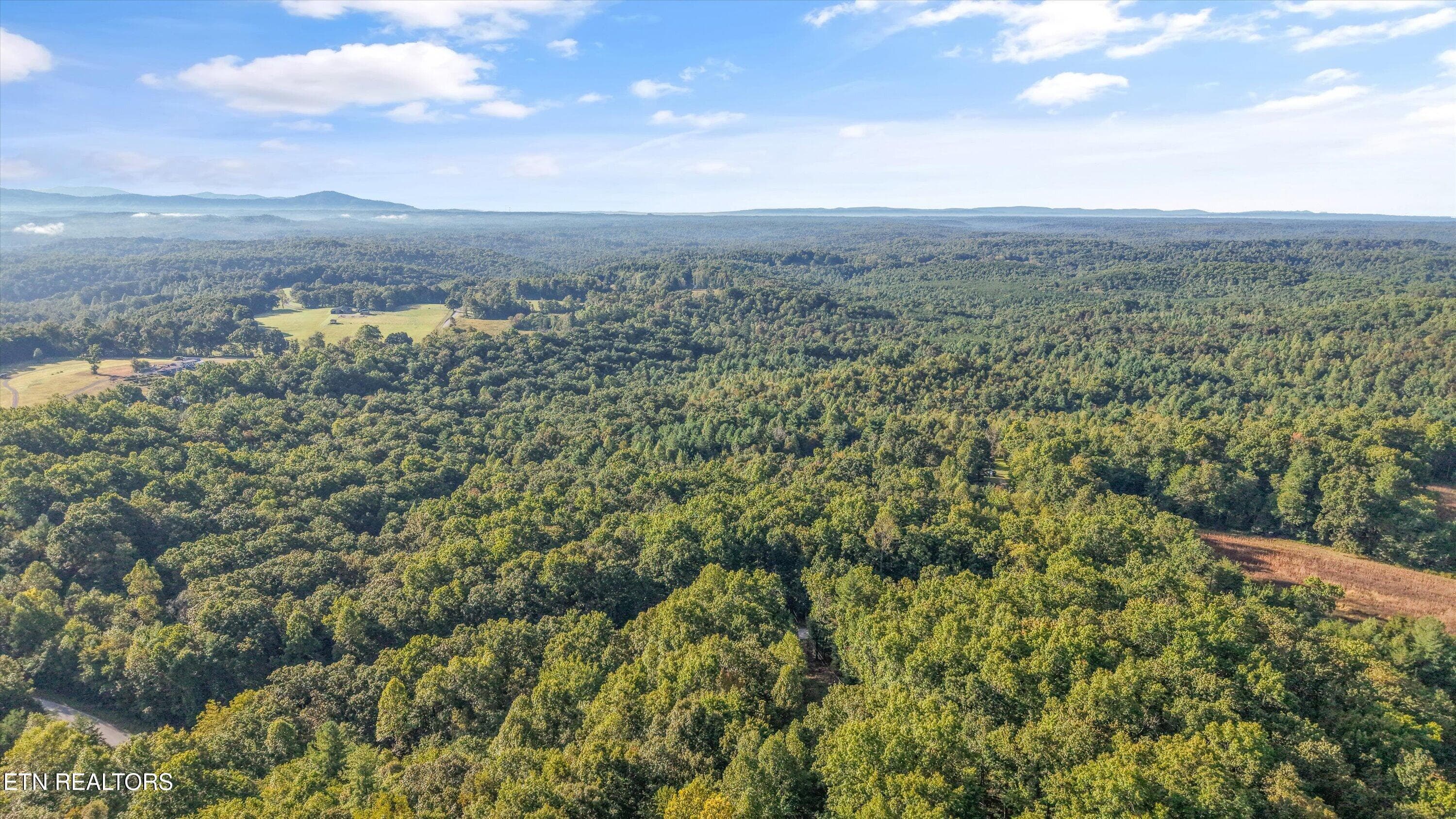 17-569 Coon Creek Rd11 - 569 Coon Creek Rd, Sunbright, TN 37872, Sunbright