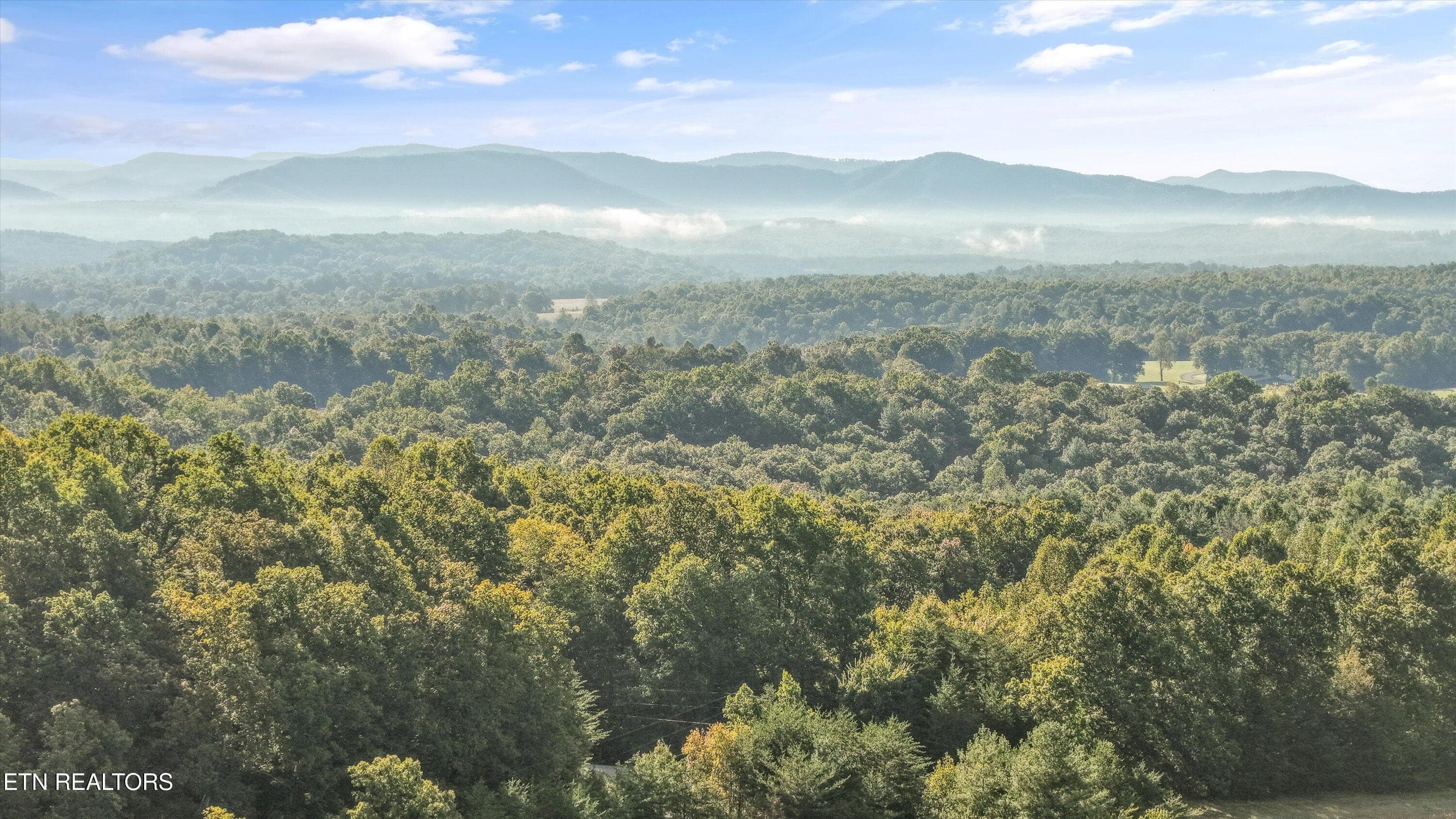 18-569 Coon Creek Rd12 - 569 Coon Creek Rd, Sunbright, TN 37872, Sunbright