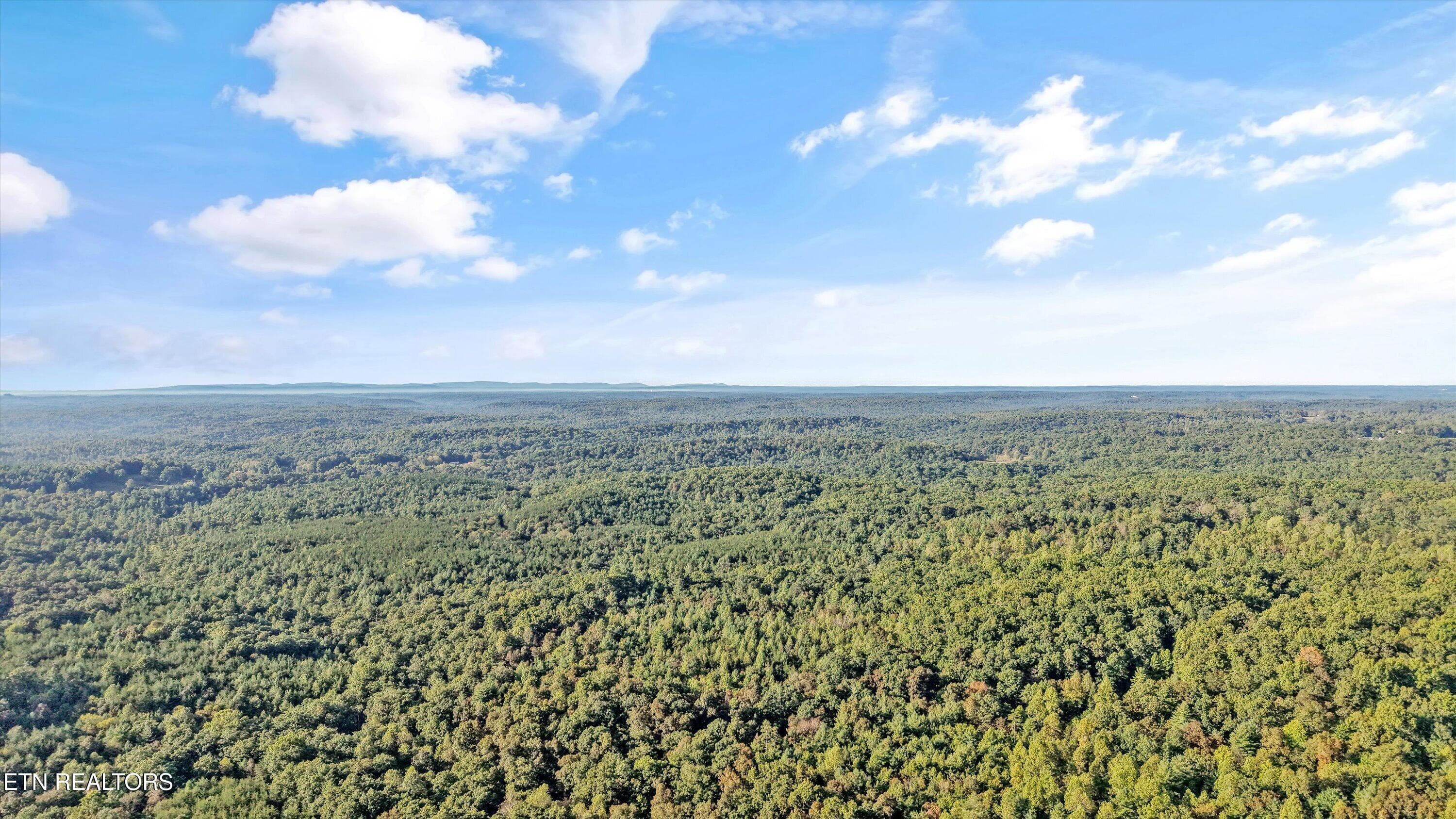 20-569 Coon Creek Rd15 - 569 Coon Creek Rd, Sunbright, TN 37872, Sunbright