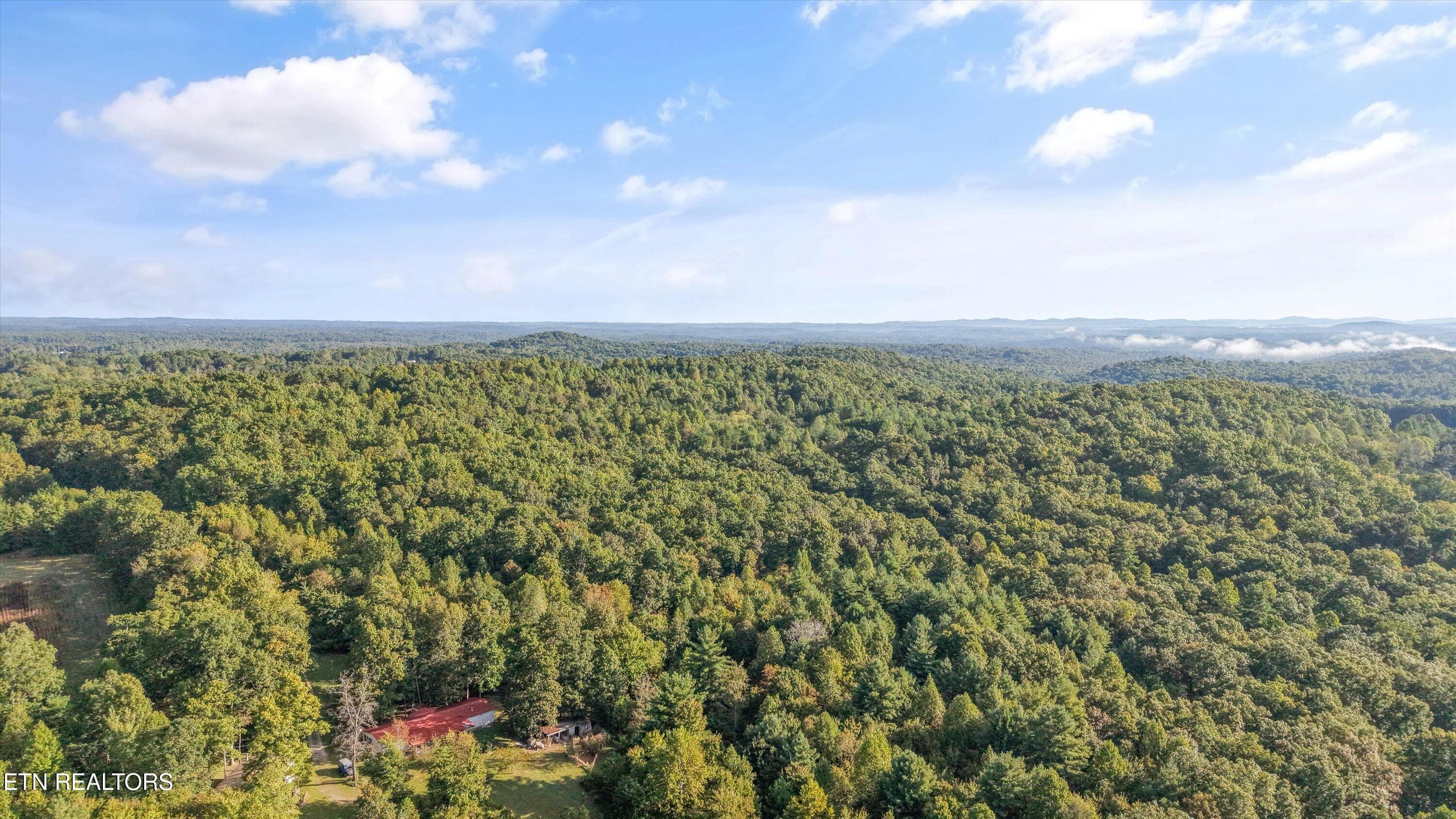 21-569 Coon Creek Rd17 - 569 Coon Creek Rd, Sunbright, TN 37872, Sunbright