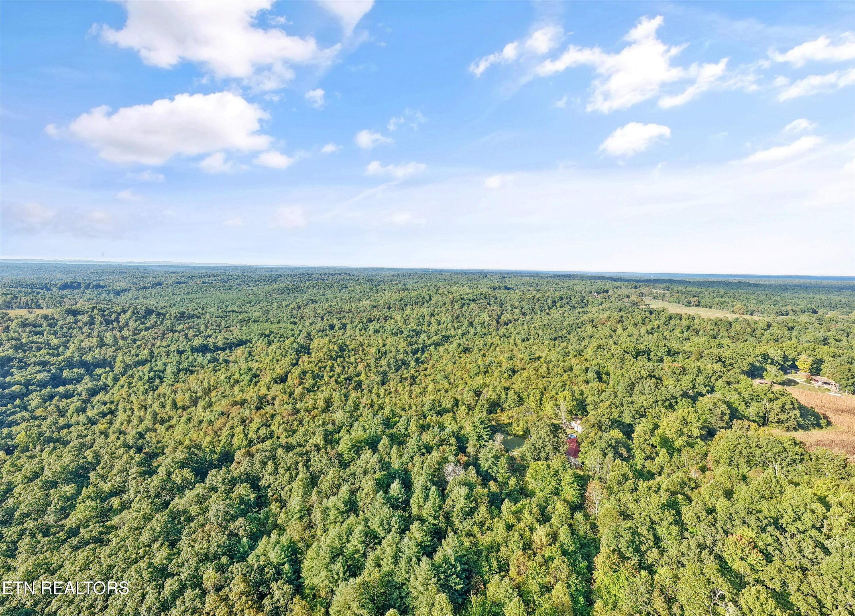 22-569 Coon Creek Rd22 - 569 Coon Creek Rd, Sunbright, TN 37872, Sunbright