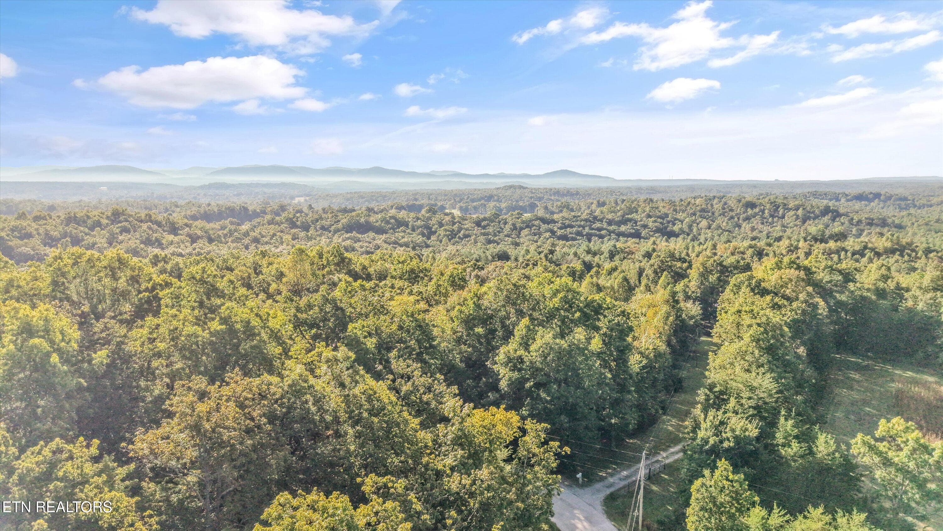 23-569 Coon Creek Rd21 - 569 Coon Creek Rd, Sunbright, TN 37872, Sunbright
