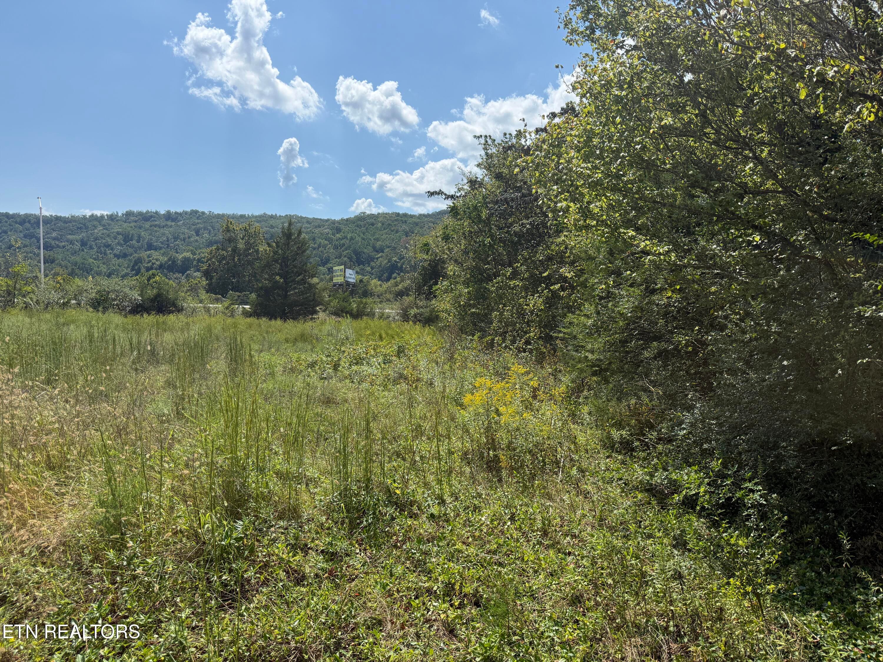 11_2 - 0 Sharpe Drive 0, Rocky Top, TN 37769, Rocky Top