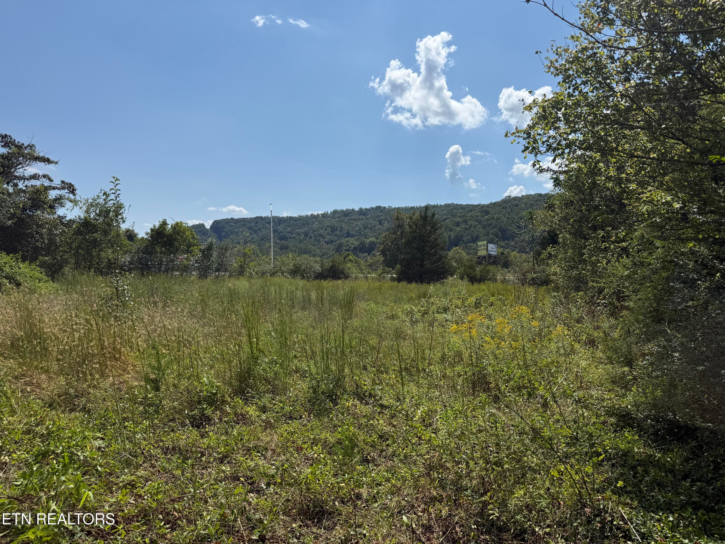 11_3 - 0 Sharpe Drive 0, Rocky Top, TN 37769, Rocky Top