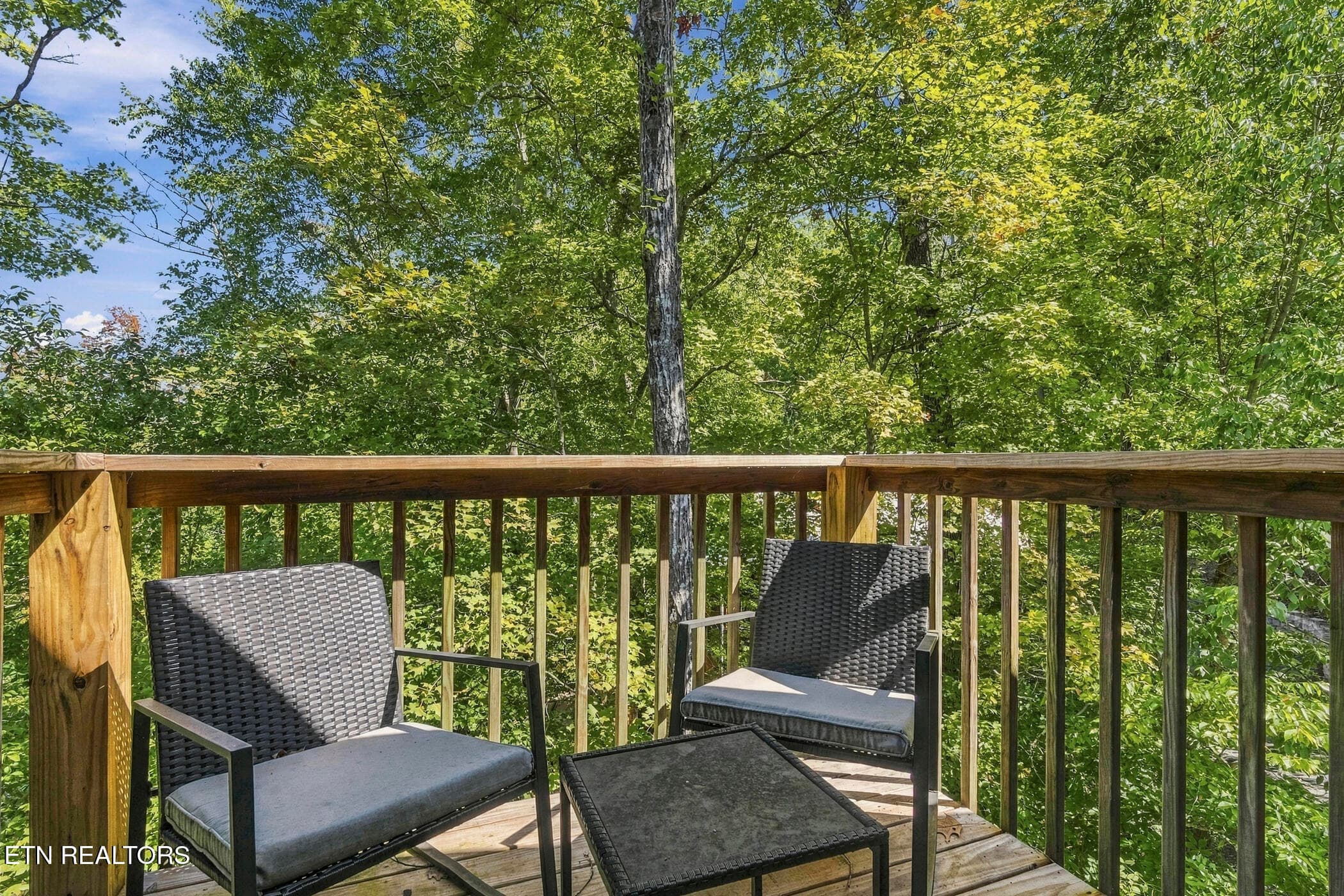 dsc03412 - 118 Daryl Way, Sevierville, TN 37876, Sevierville