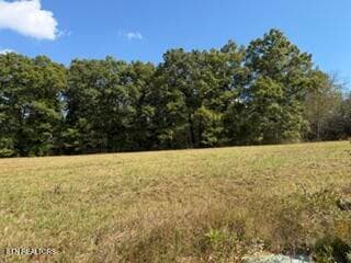 Lot 41 Estate Loop Tr, Crossville, TN 38555