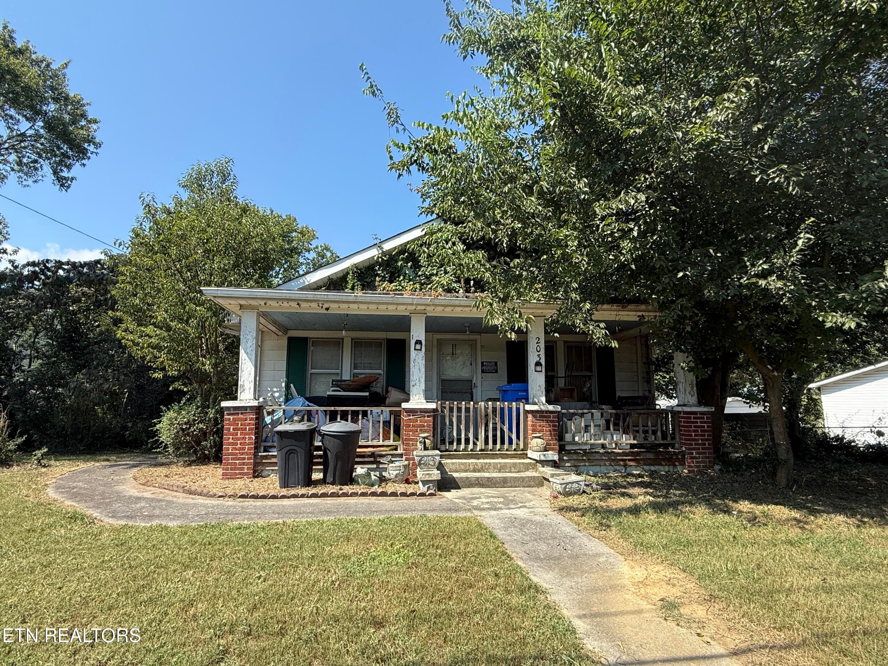 13_2 - 203 Hillcrest Ave, Rocky Top, TN 37769, Rocky Top