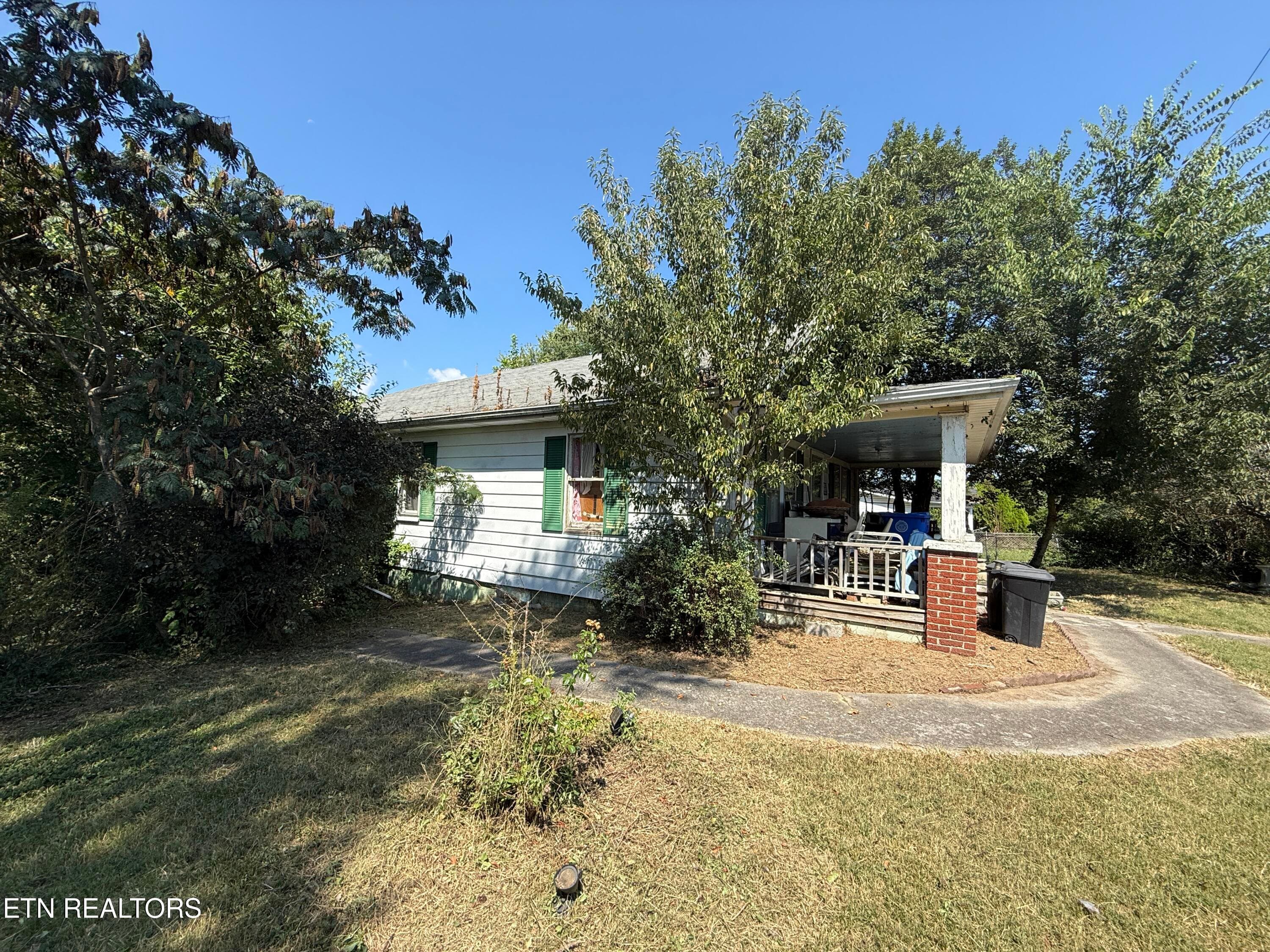 13_4 - 203 Hillcrest Ave, Rocky Top, TN 37769, Rocky Top