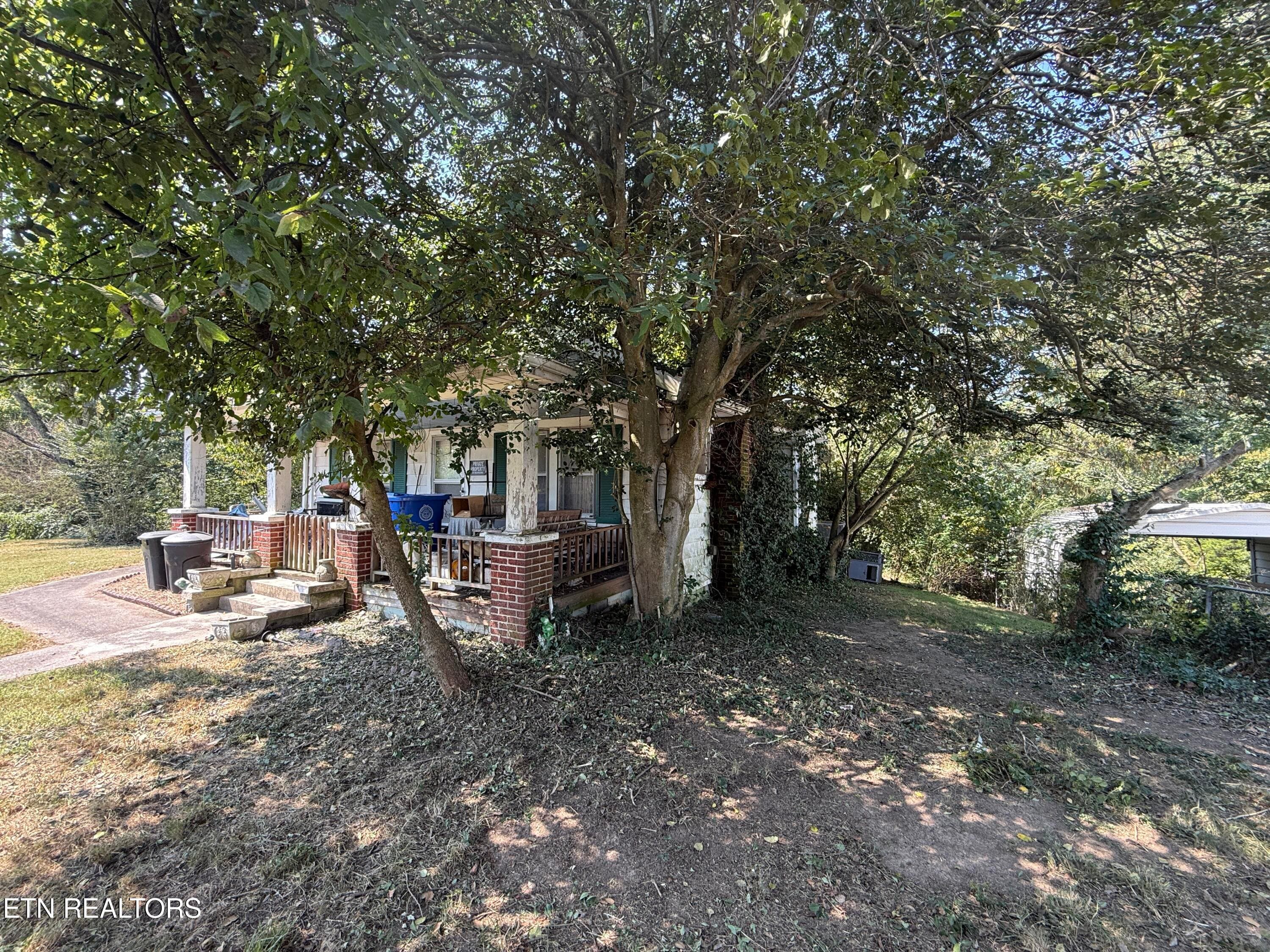 13_6 - 203 Hillcrest Ave, Rocky Top, TN 37769, Rocky Top