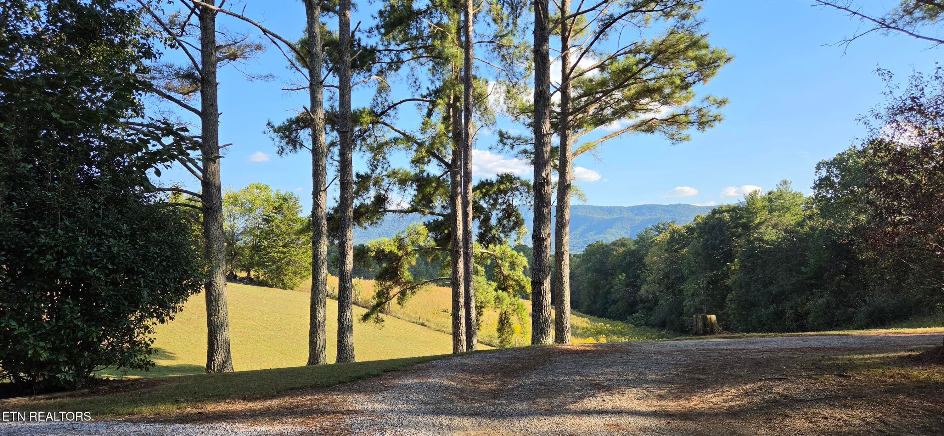 View from the top of the driveway - 1845 Tree Tops Lane, Seymour, TN 37865, Seymour