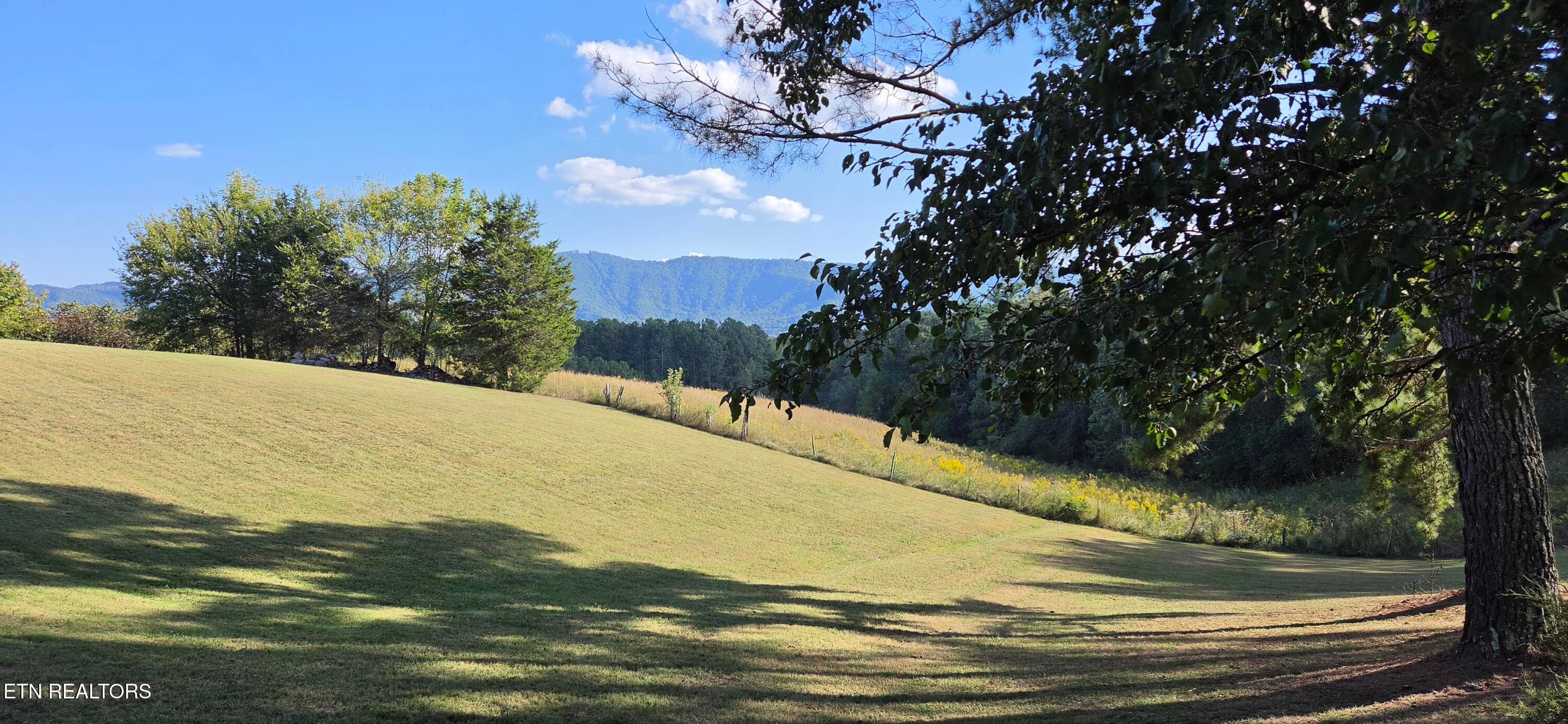 Mountain Views from the driveway - 1845 Tree Tops Lane, Seymour, TN 37865, Seymour