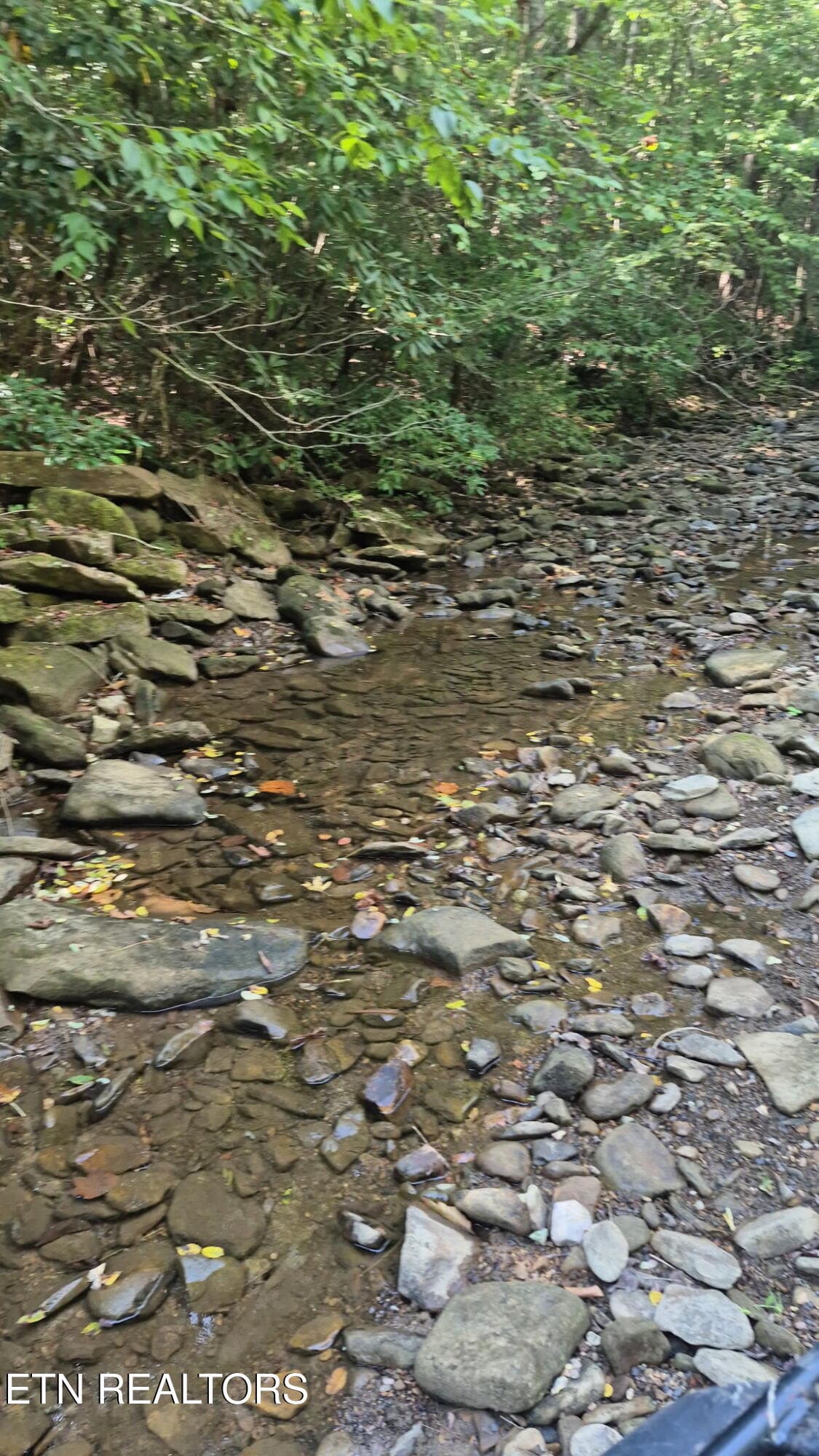20260920_134855 - Ozone Access Rd, Rockwood, TN 37854