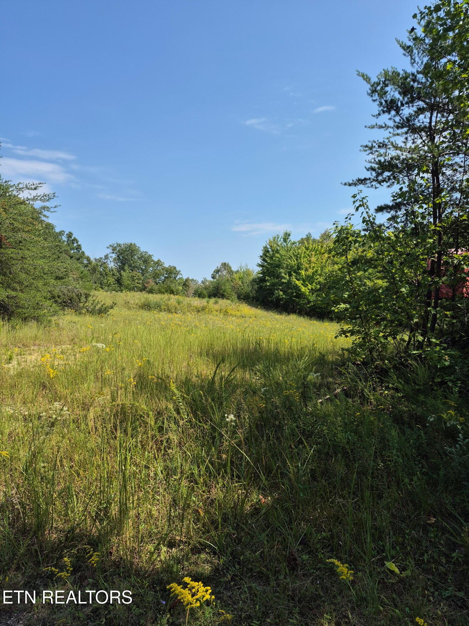 20260920_131421 - Ozone Access Rd, Rockwood, TN 37854