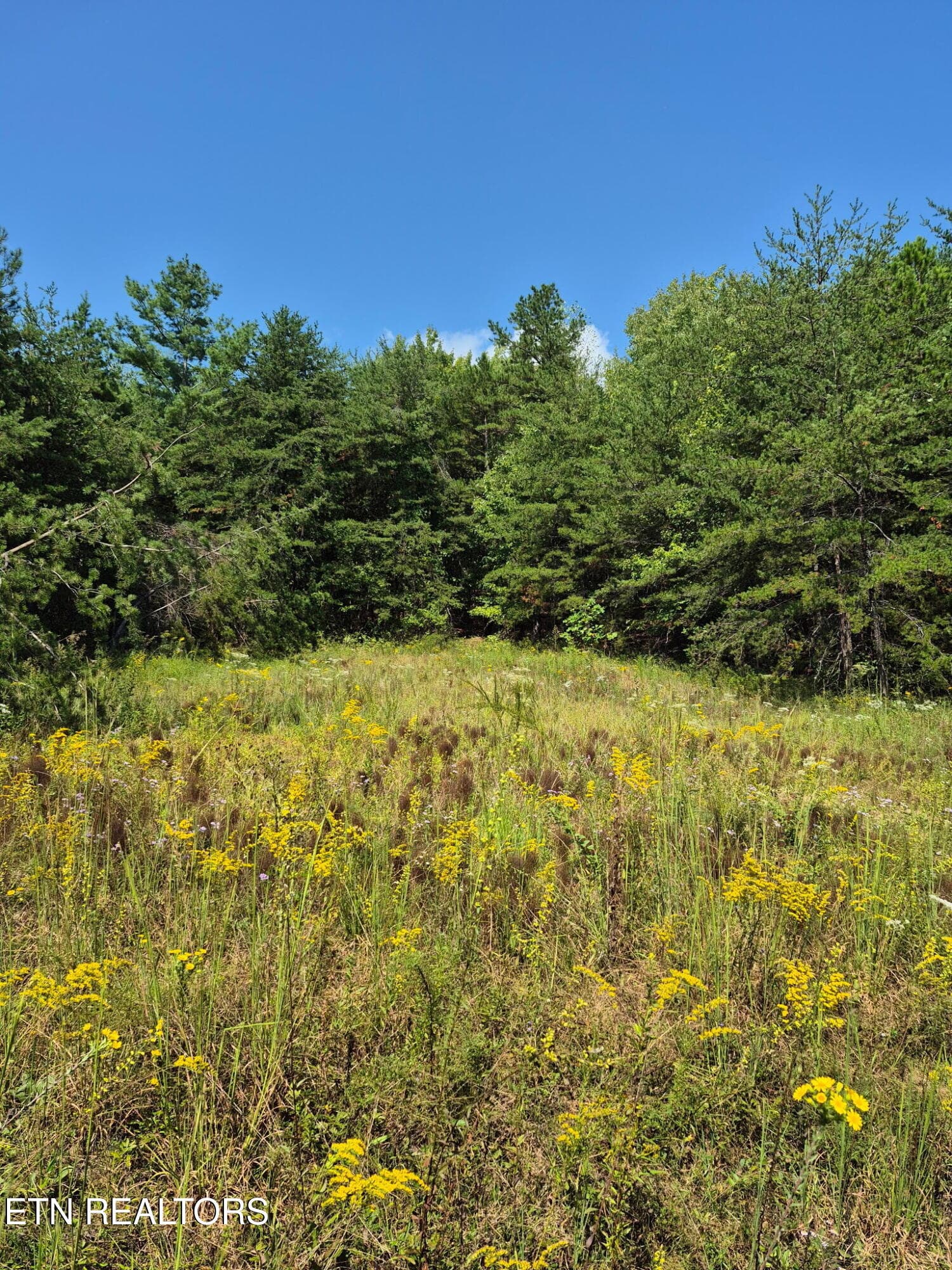 20260920_131423 - Ozone Access Rd, Rockwood, TN 37854