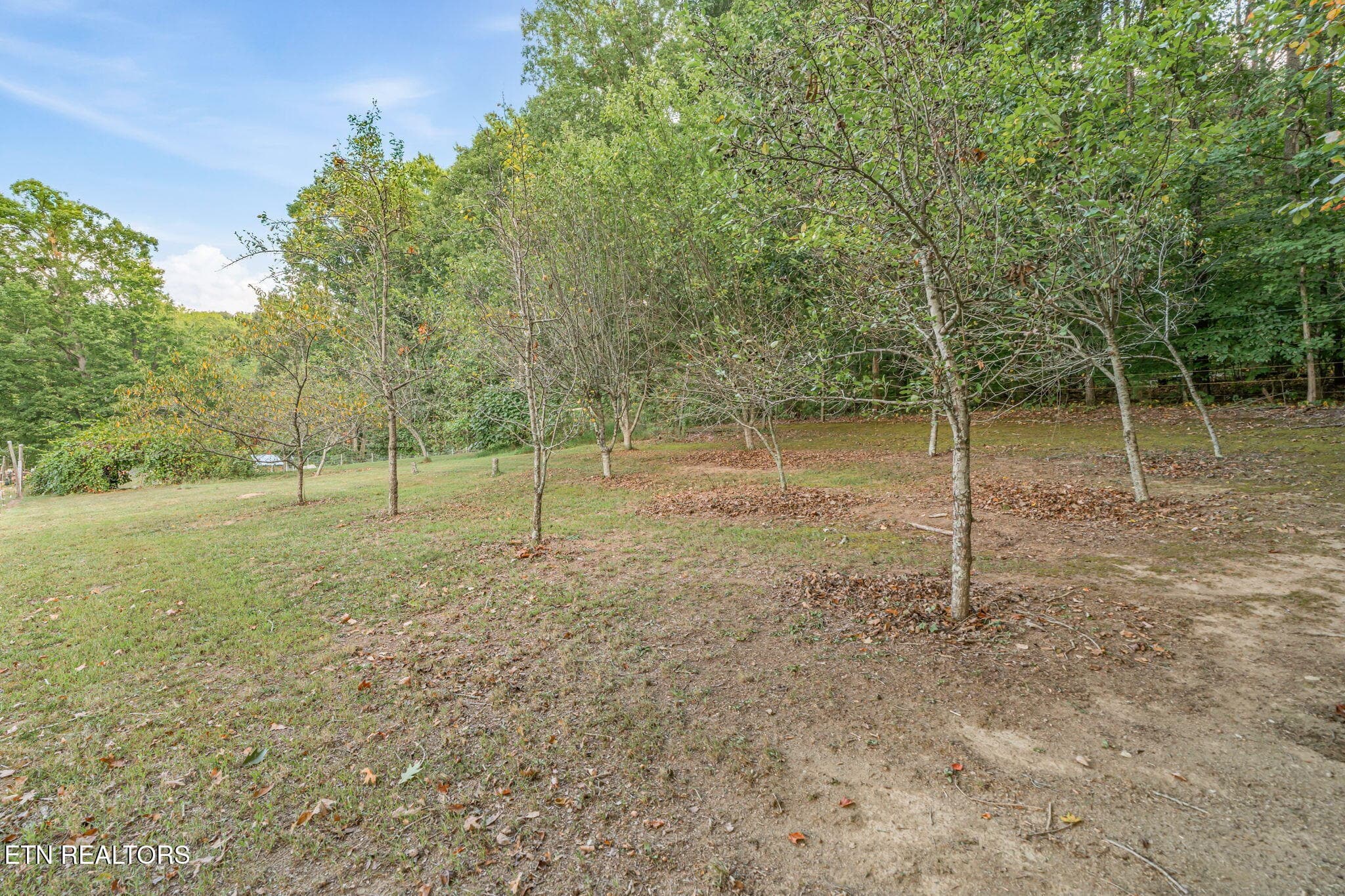 25-web-or-mls-2809 Highway 411-36 - 2809 Highway 411, Madisonville, TN 37354, Madisonville