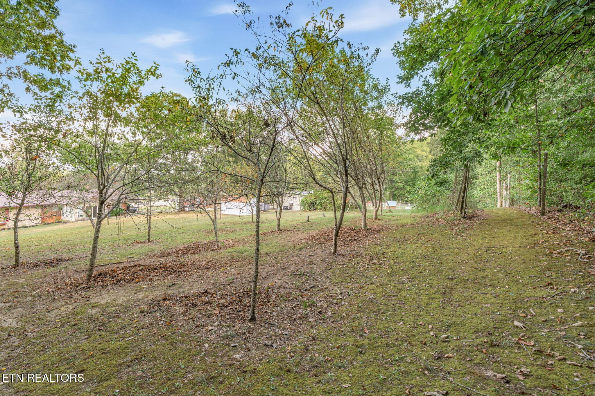 26-web-or-mls-2809 Highway 411-37 - 2809 Highway 411, Madisonville, TN 37354, Madisonville