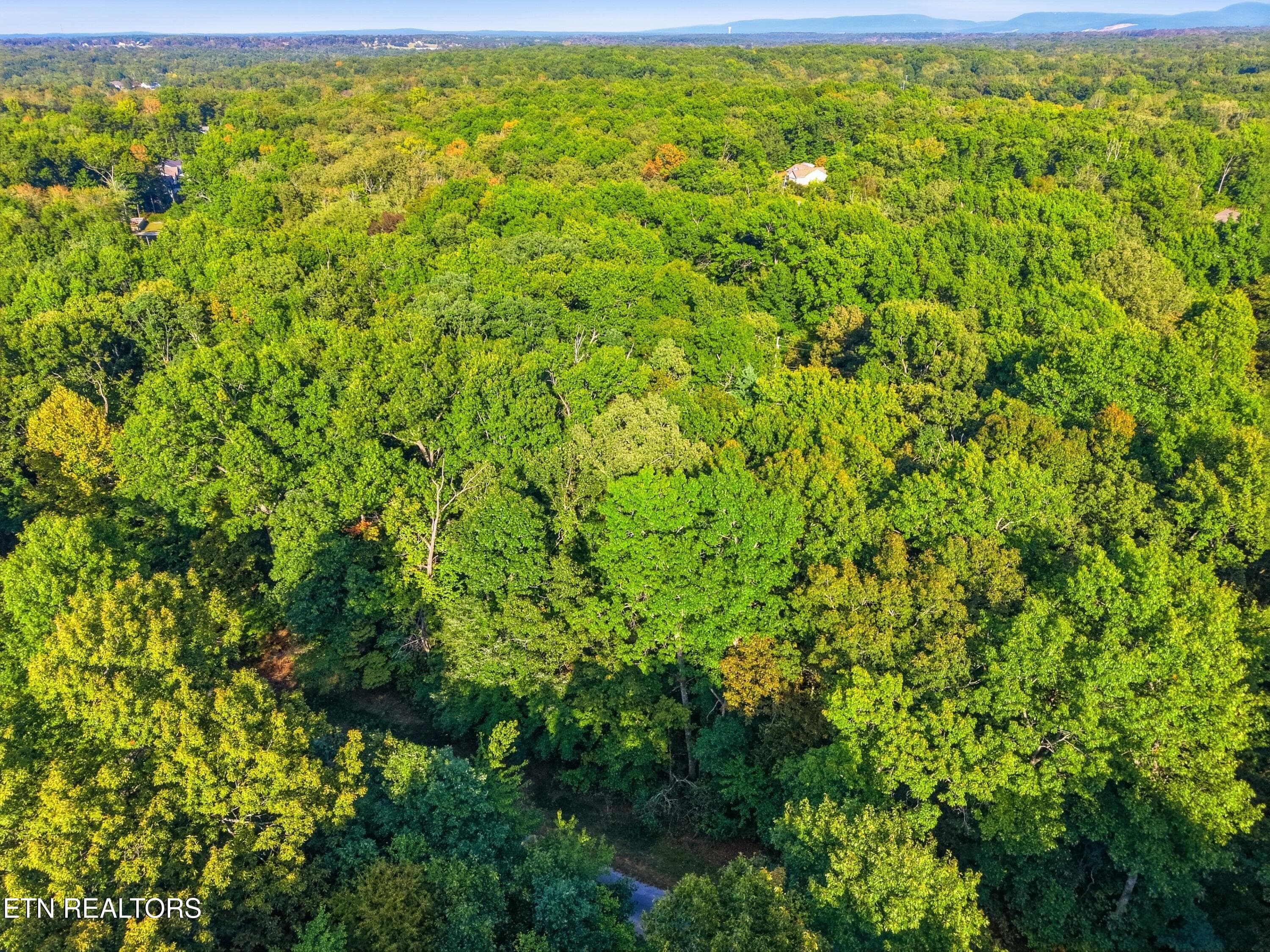 615_Catawba_Lane_Crossville_003 - 615 Catawba Lane, Crossville, TN 38572, Crossville