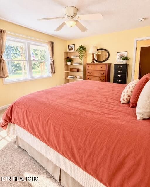 C17D8F74-111A-4BD6-B079-035DCF18264E - 1511 Giles Hollow Rd, Rose Hill, VA 24281, Rose Hill