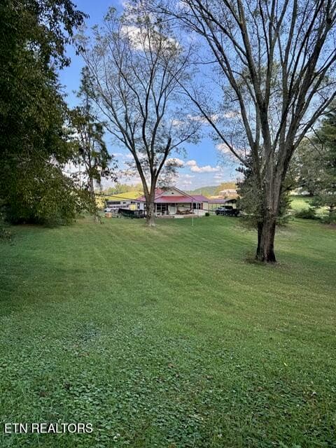 IMG_3472 - 1511 Giles Hollow Rd, Rose Hill, VA 24281, Rose Hill