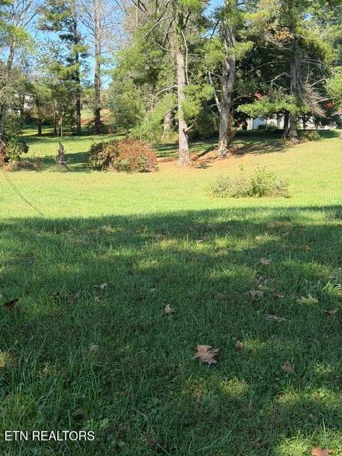 IMG_4492 - 1511 Giles Hollow Rd, Rose Hill, VA 24281, Rose Hill