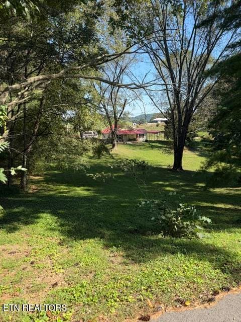 IMG_4493 - 1511 Giles Hollow Rd, Rose Hill, VA 24281, Rose Hill