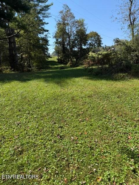 IMG_4473 - 1511 Giles Hollow Rd, Rose Hill, VA 24281, Rose Hill