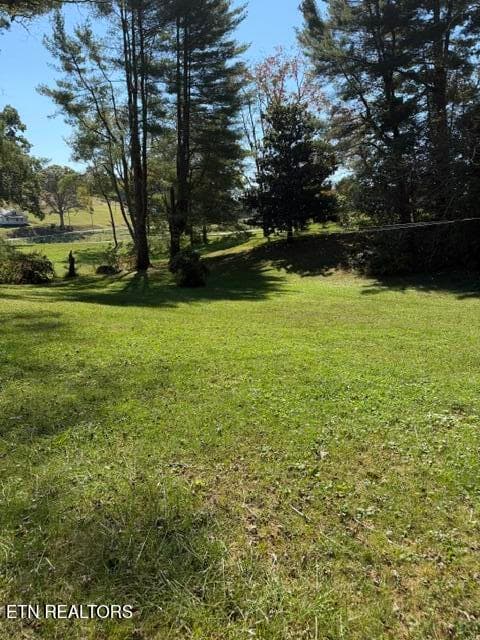 IMG_4478 - 1511 Giles Hollow Rd, Rose Hill, VA 24281, Rose Hill